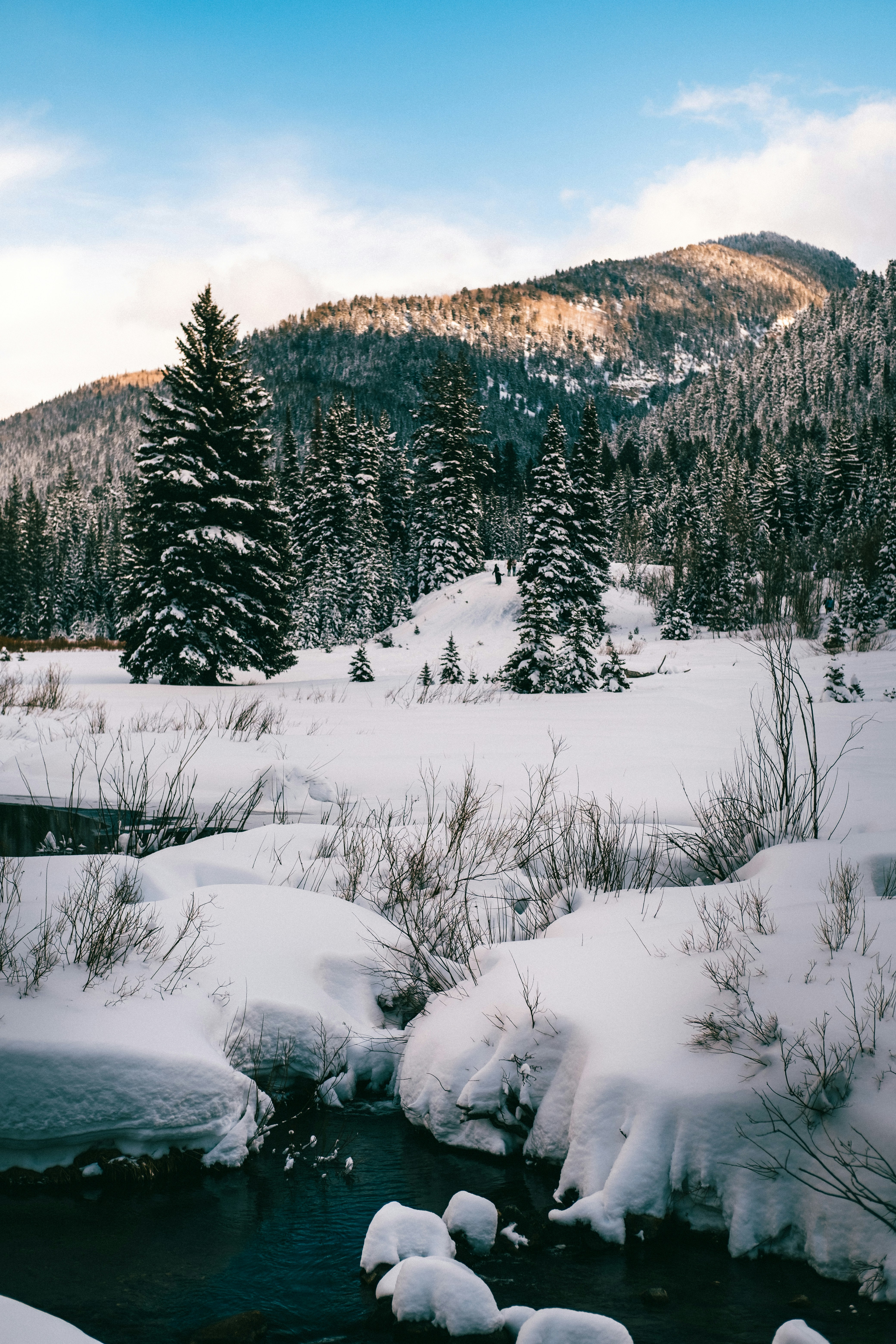 Photo by northernstatemedia