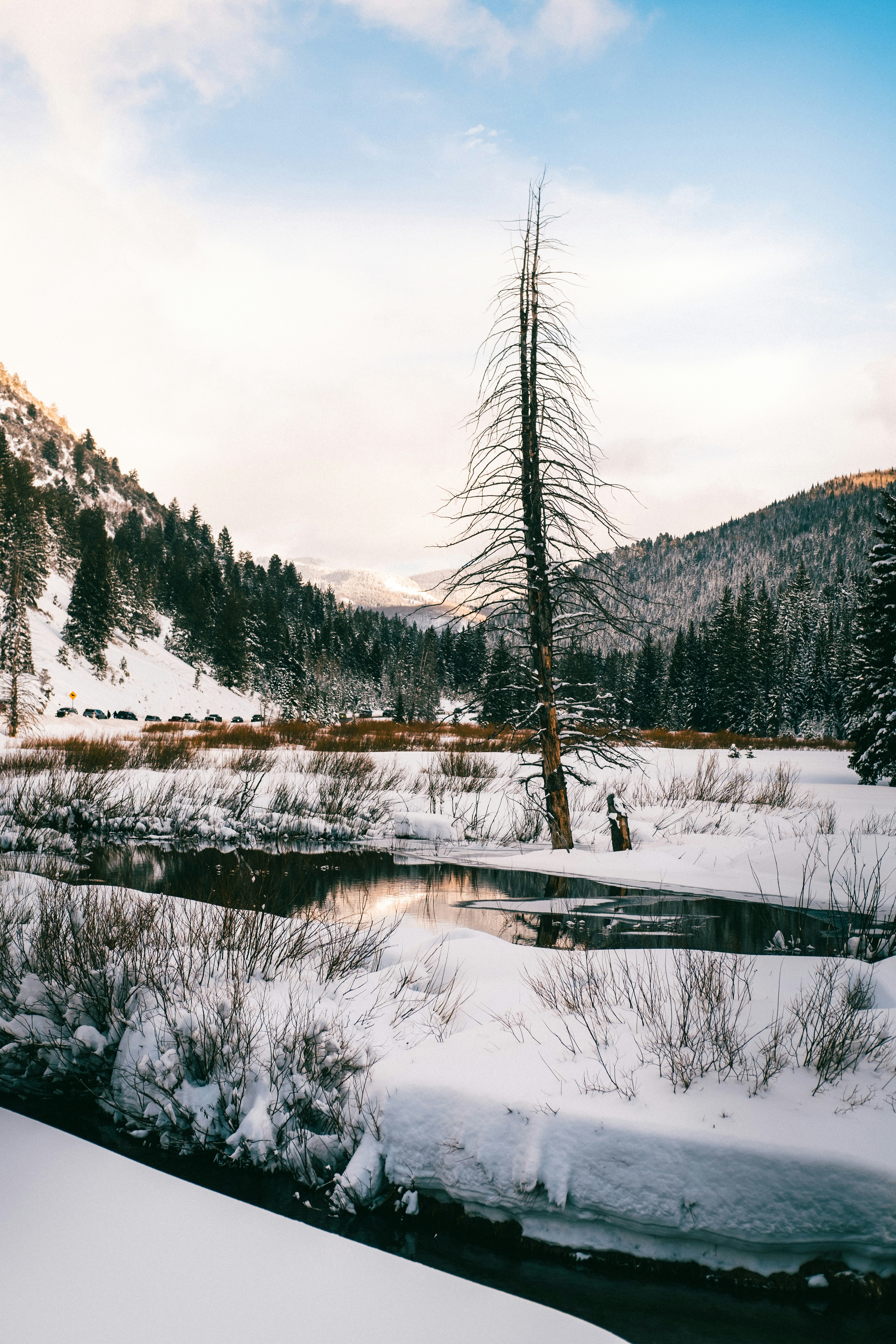 Photo by northernstatemedia