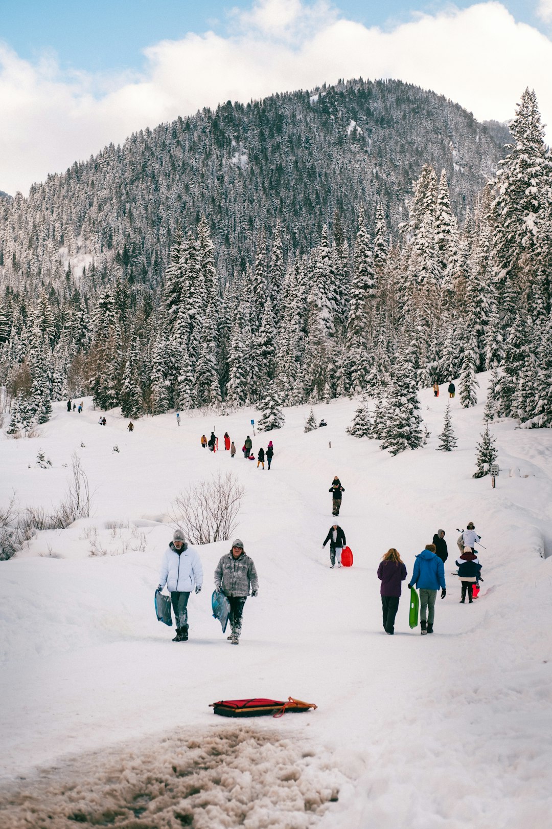 people walking on snow covered ground near trees during daytime