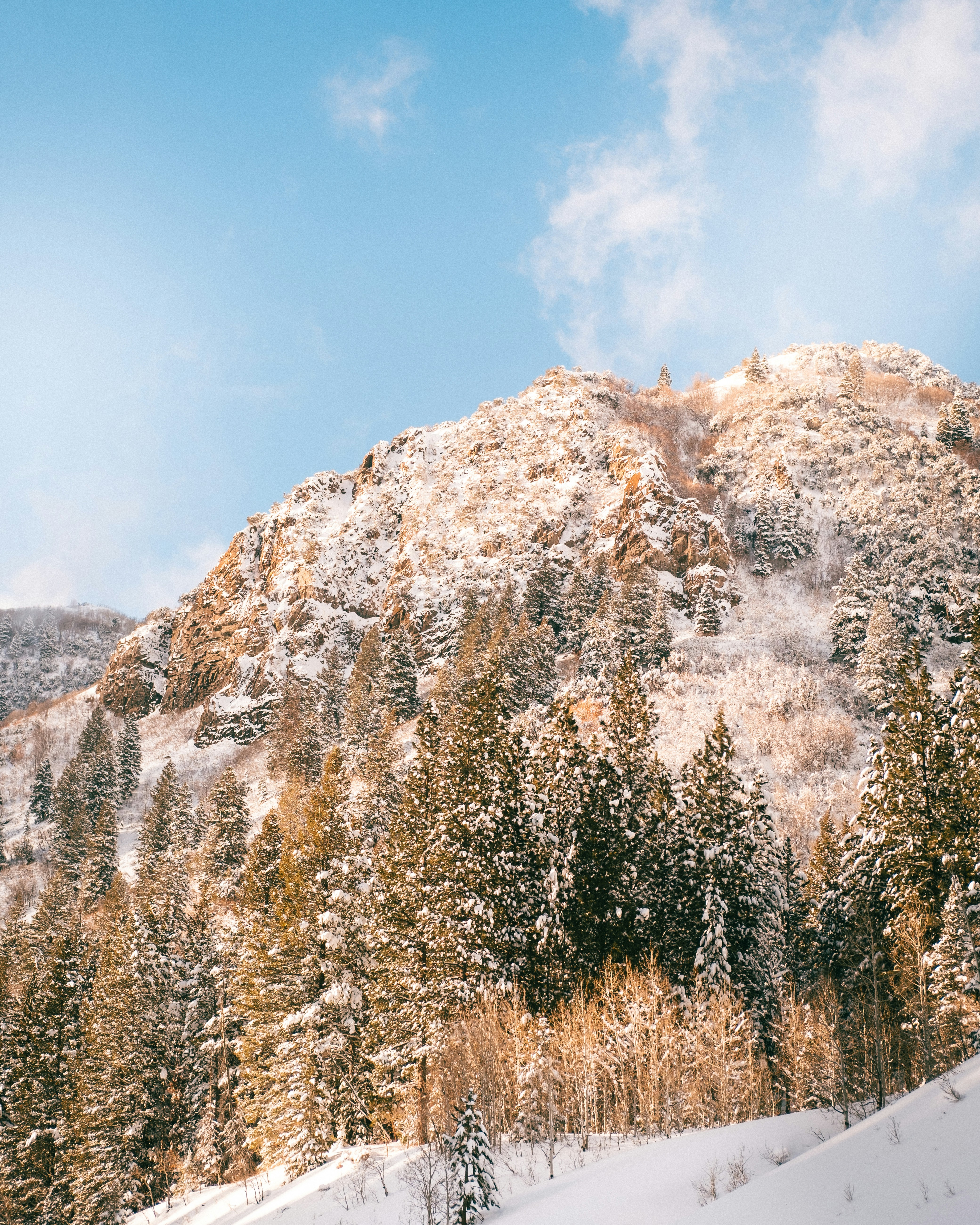 Photo by northernstatemedia