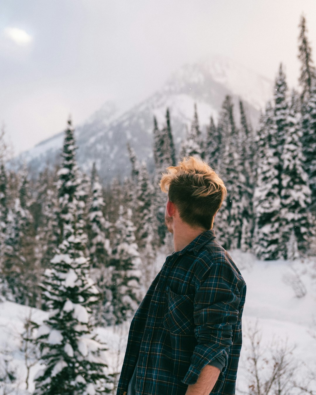 man in black and white plaid dress shirt standing on snow covered ground near green trees