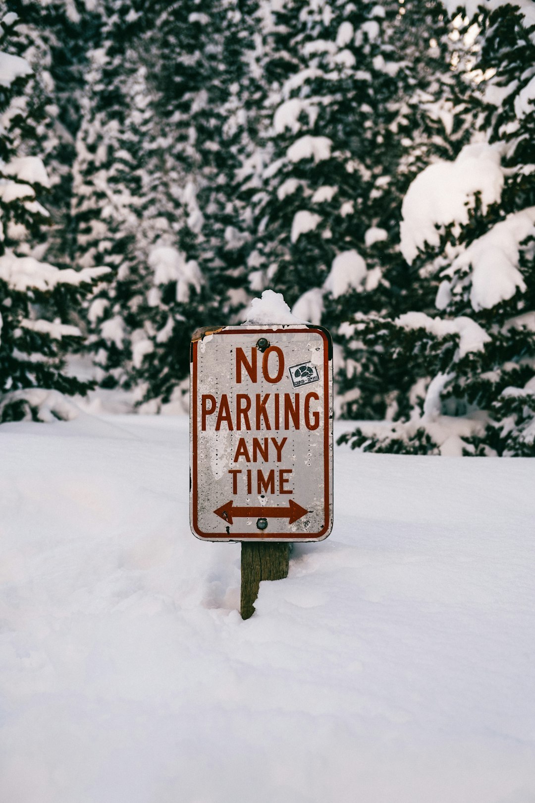 brown and white wooden signage on snow covered ground