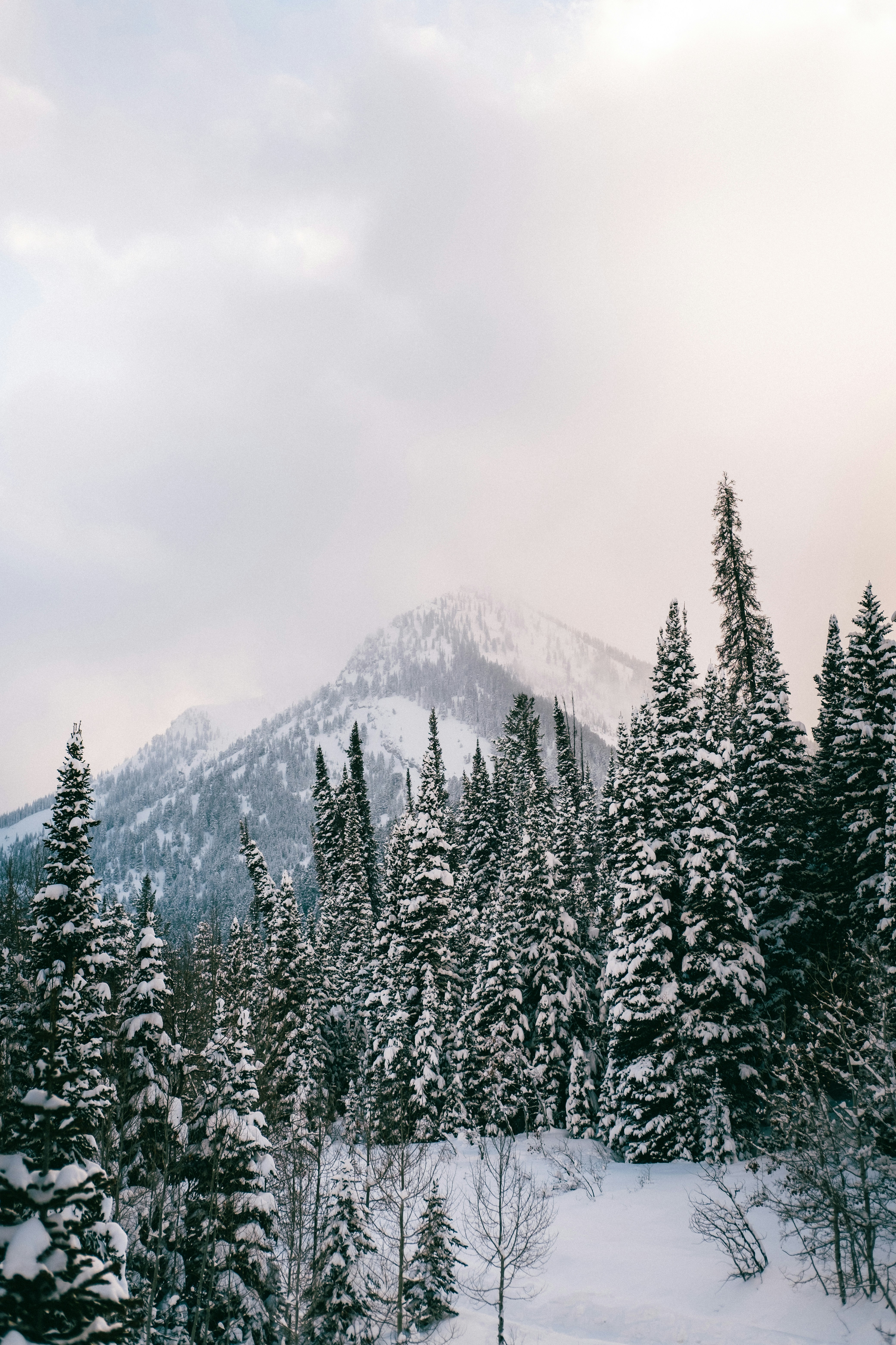 Photo by northernstatemedia