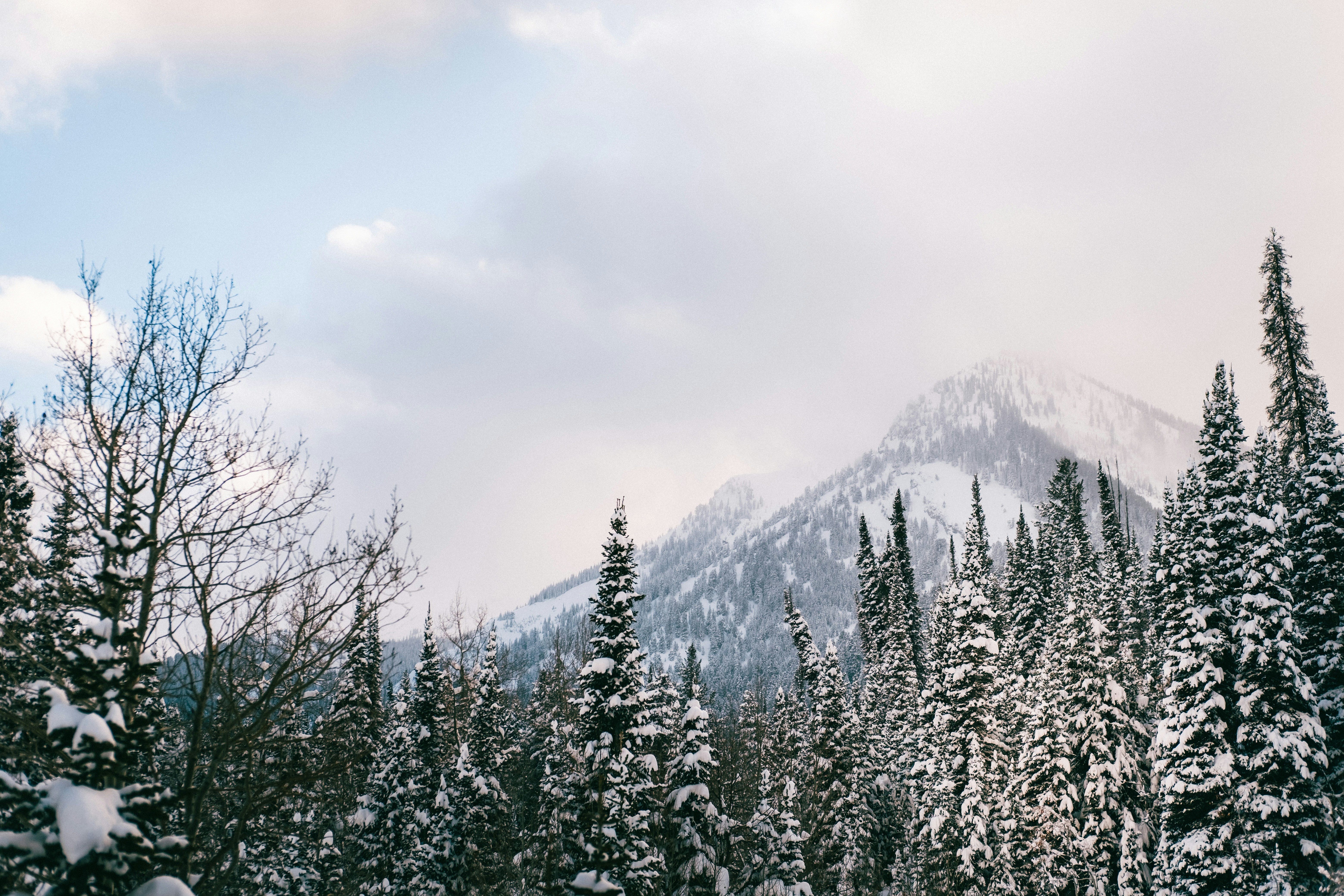 Photo by northernstatemedia