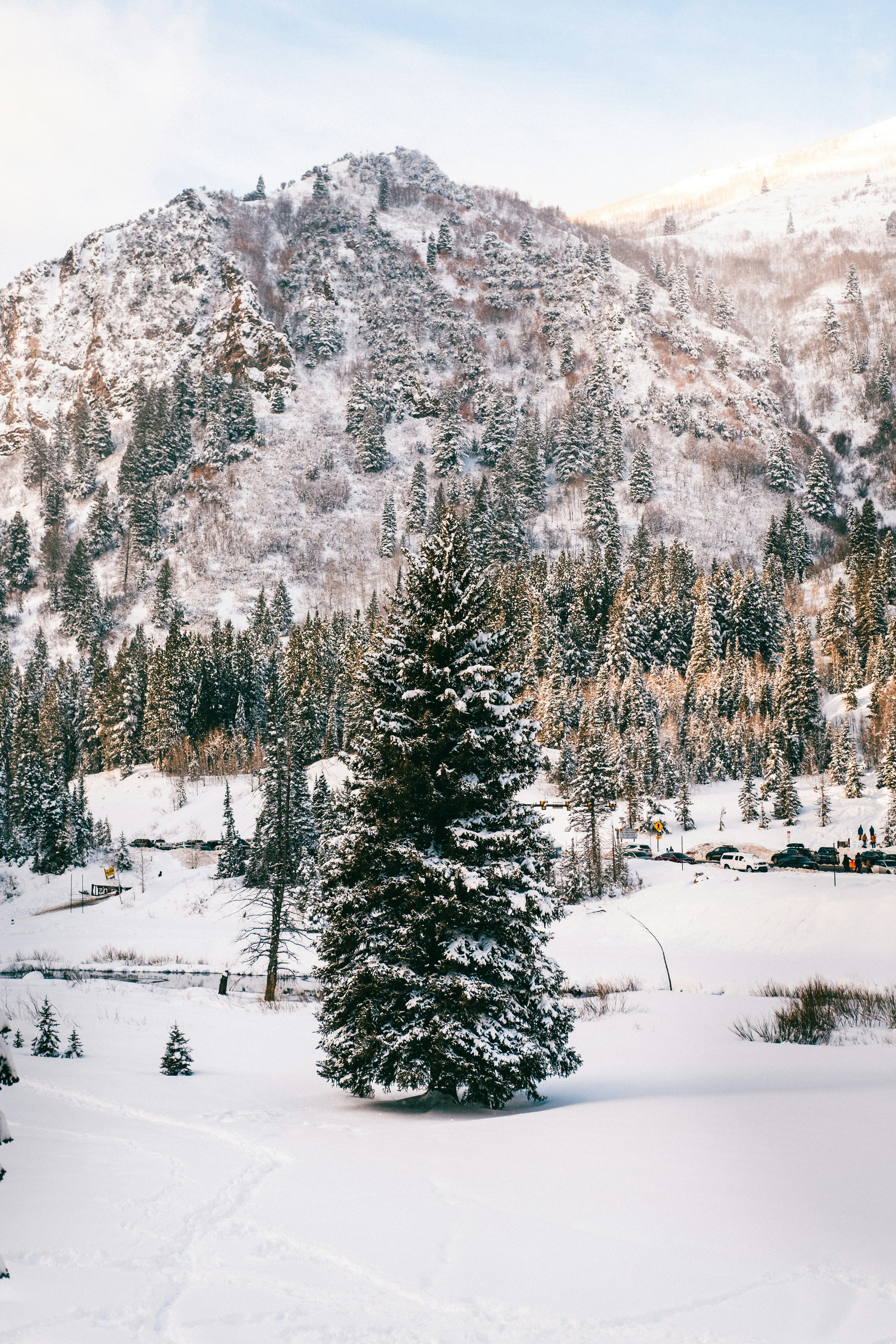 Photo by northernstatemedia