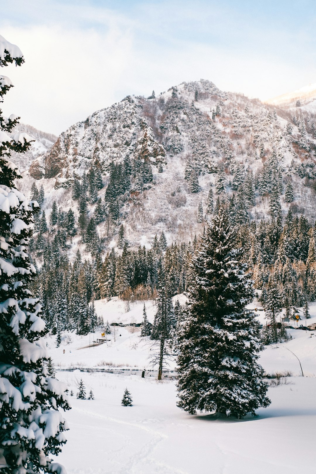 snow covered mountain and trees during daytime