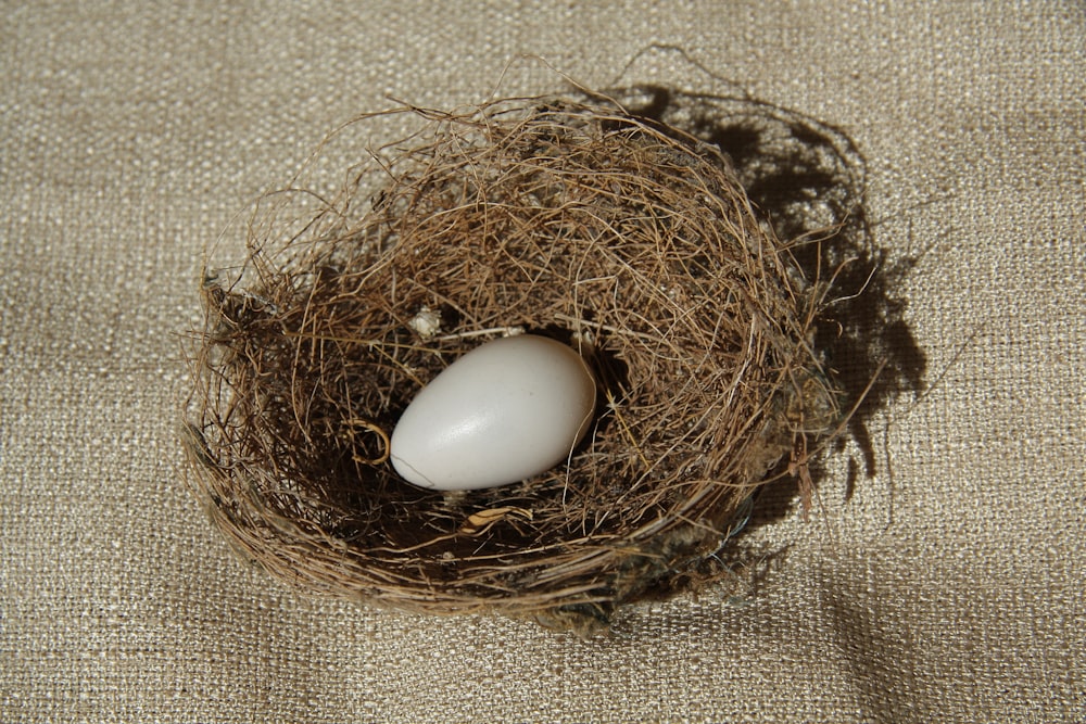 weißes Ei auf braunem Nest