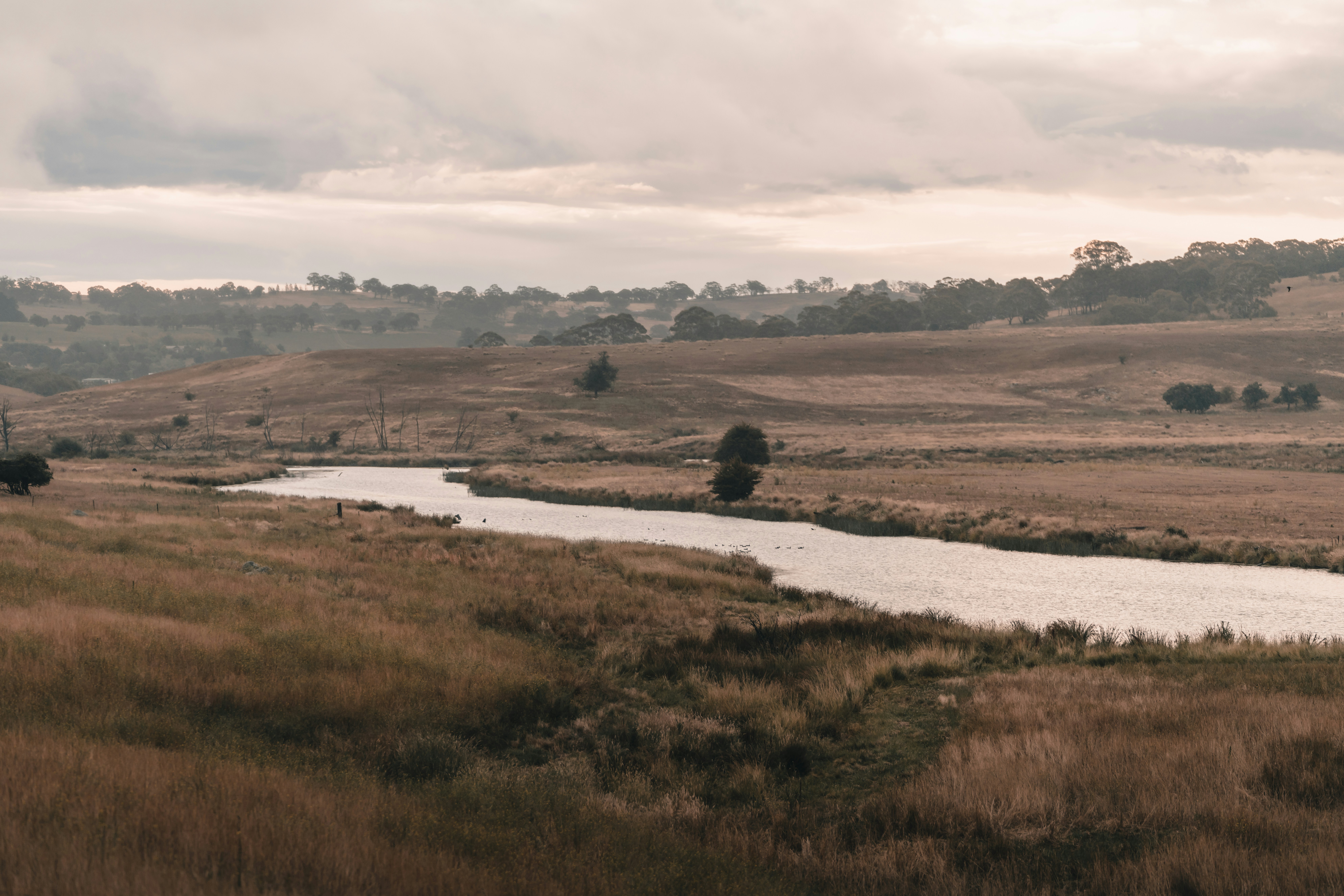 Photo by arunclarke