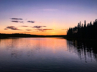 Golden sunset reflecting on a calm forest lake.