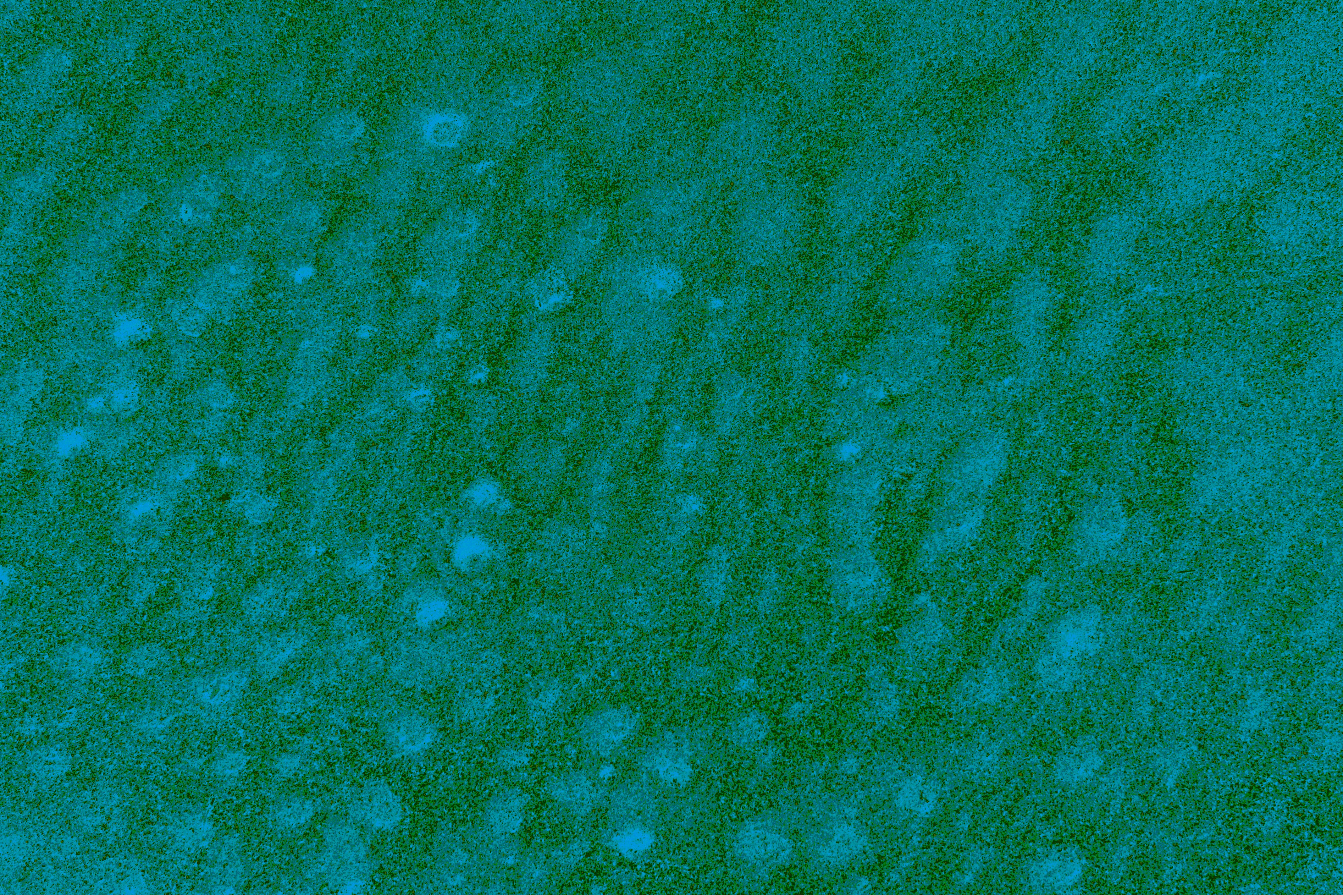 Photo by splashabout