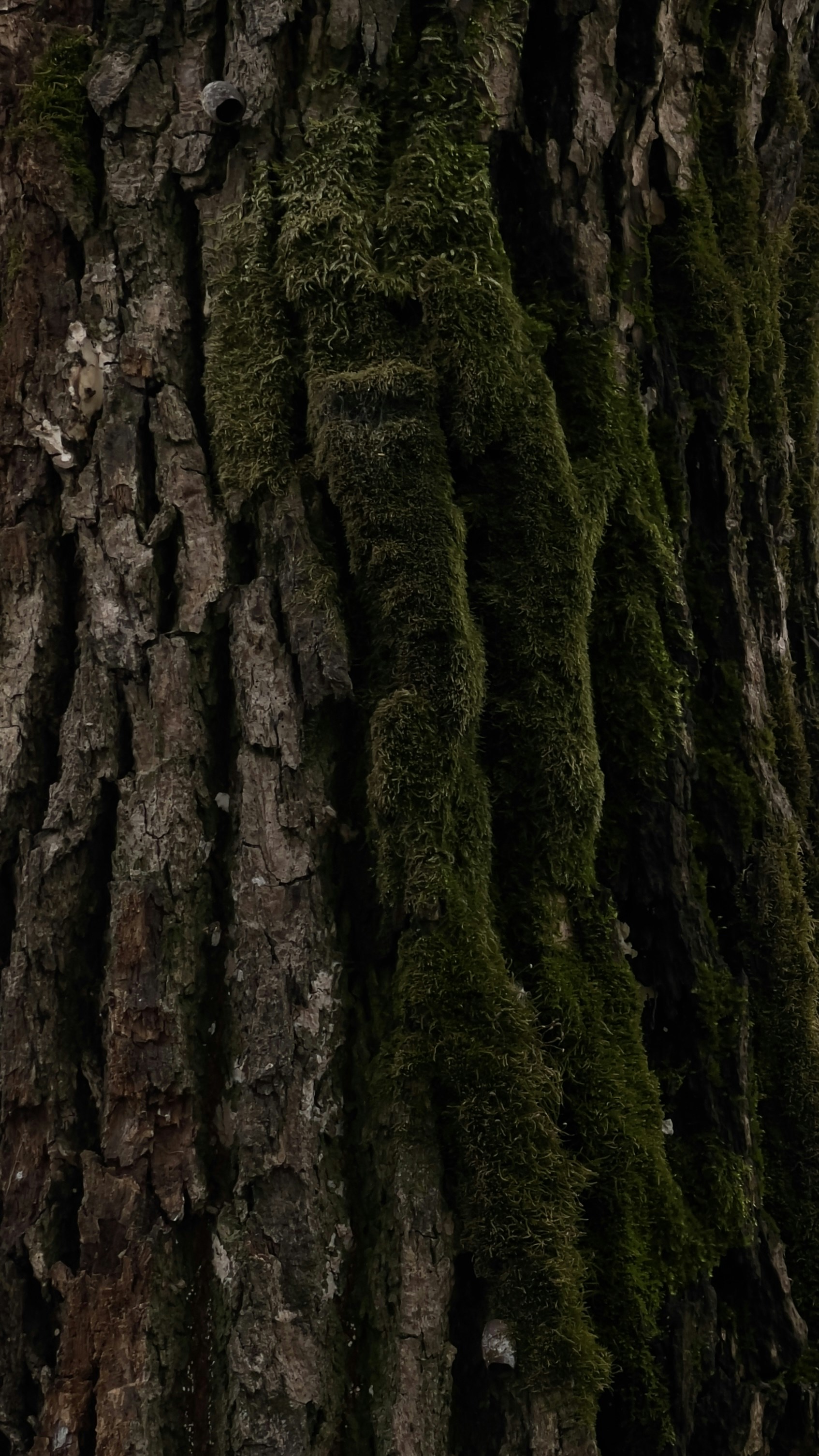 Photo by hanxiaoyaaaaa