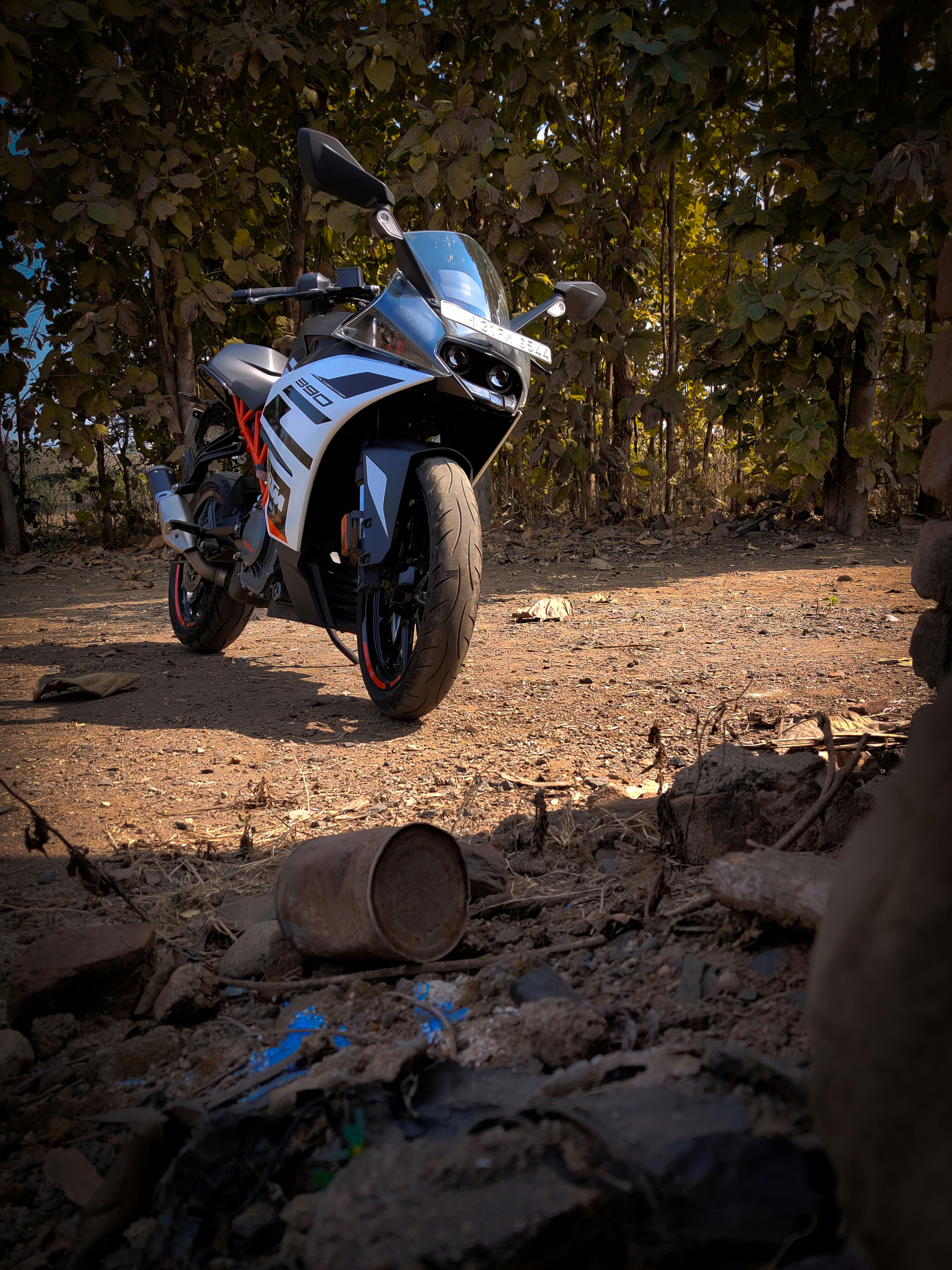 Classic Cruiser Bike