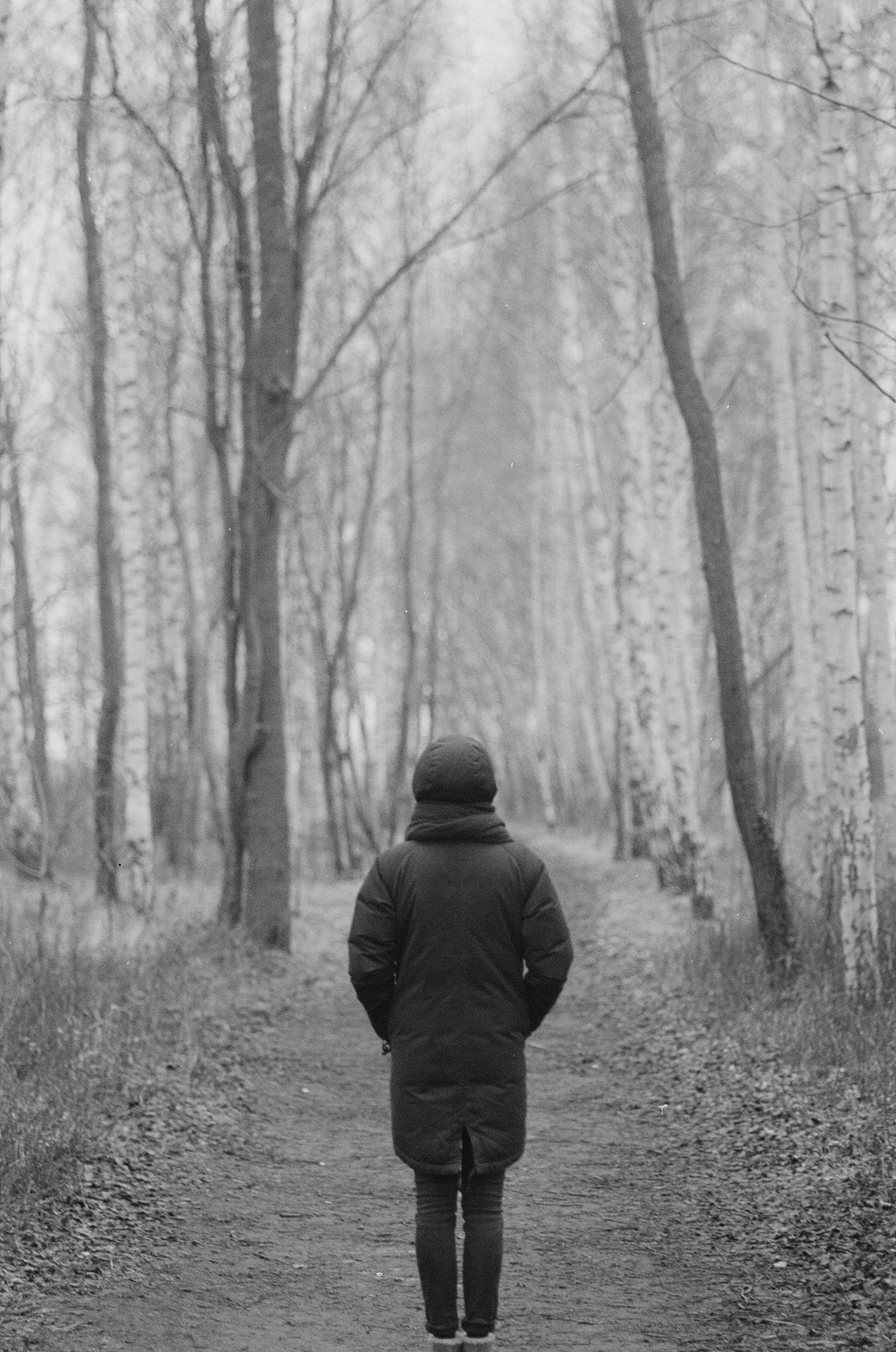 Photo by kasparseglitis