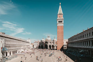 people walking on park during daytime