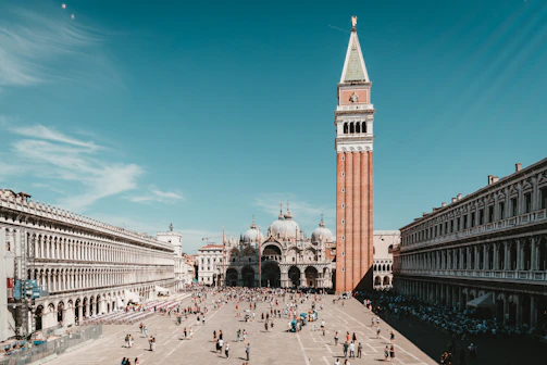 people walking on park during daytime