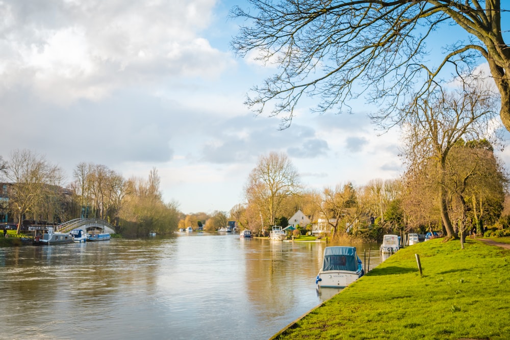 weißes und blaues Boot tagsüber auf dem Fluss