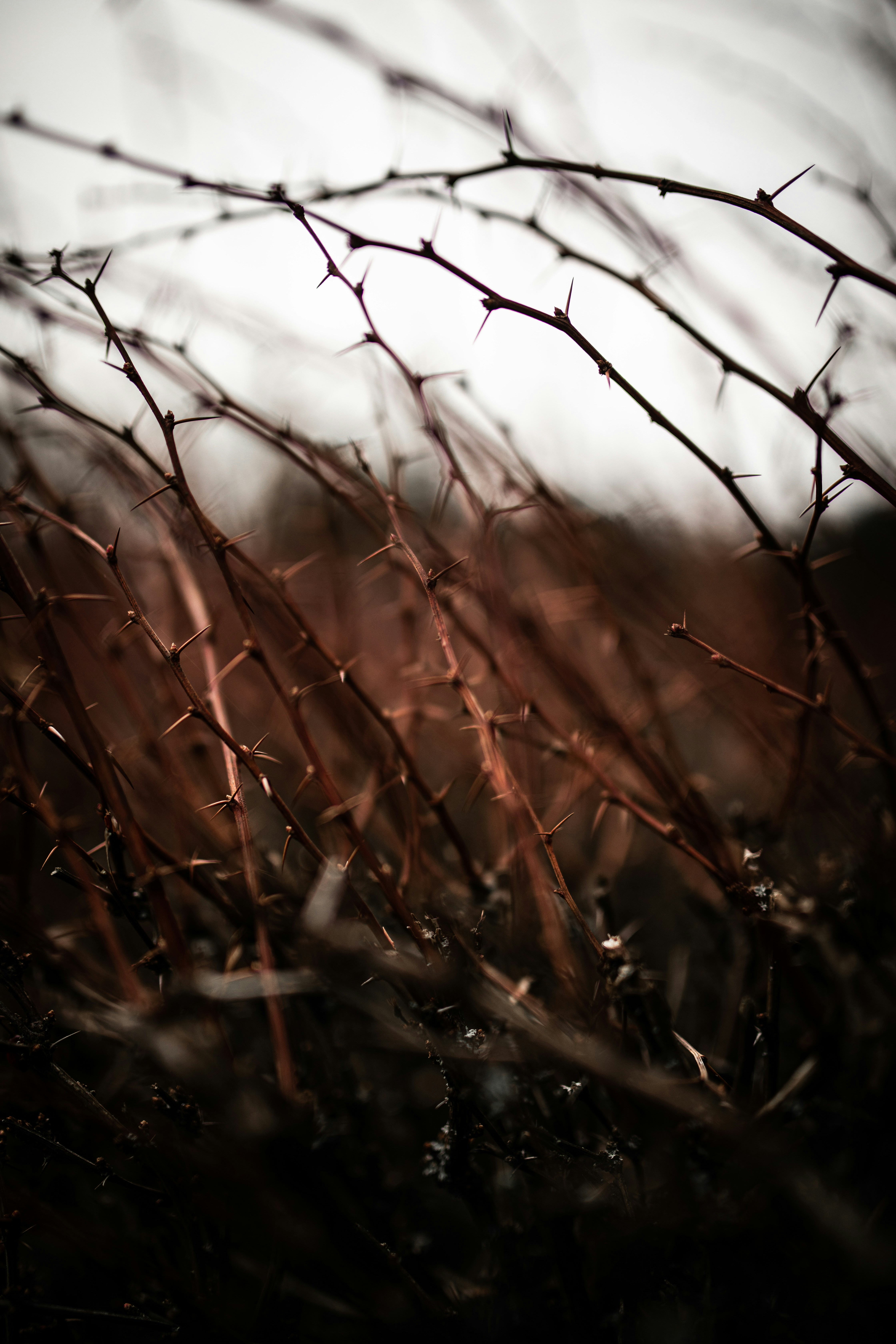 Photo by kajareichardtphotos