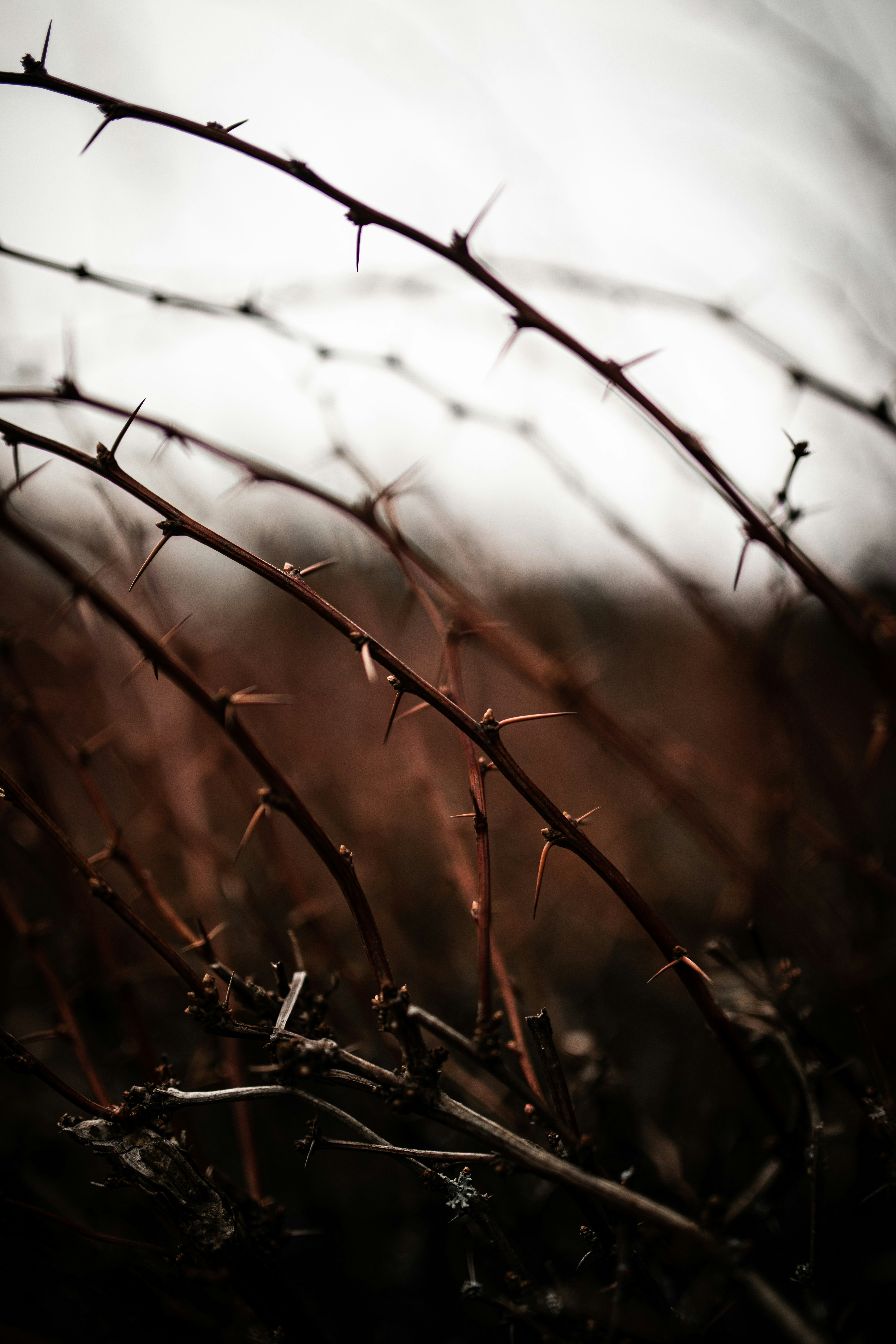 Photo by kajareichardtphotos