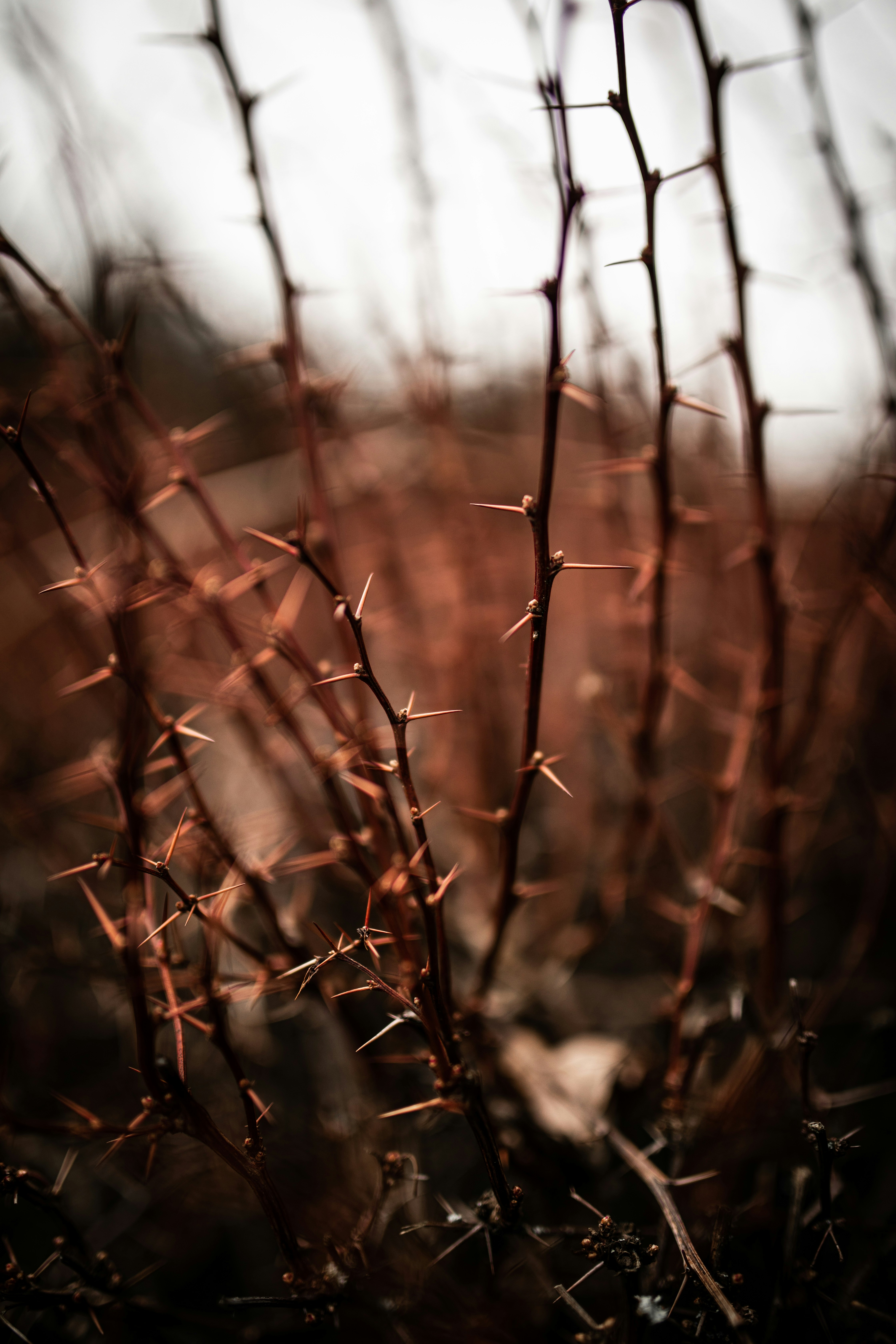 Photo by kajareichardtphotos