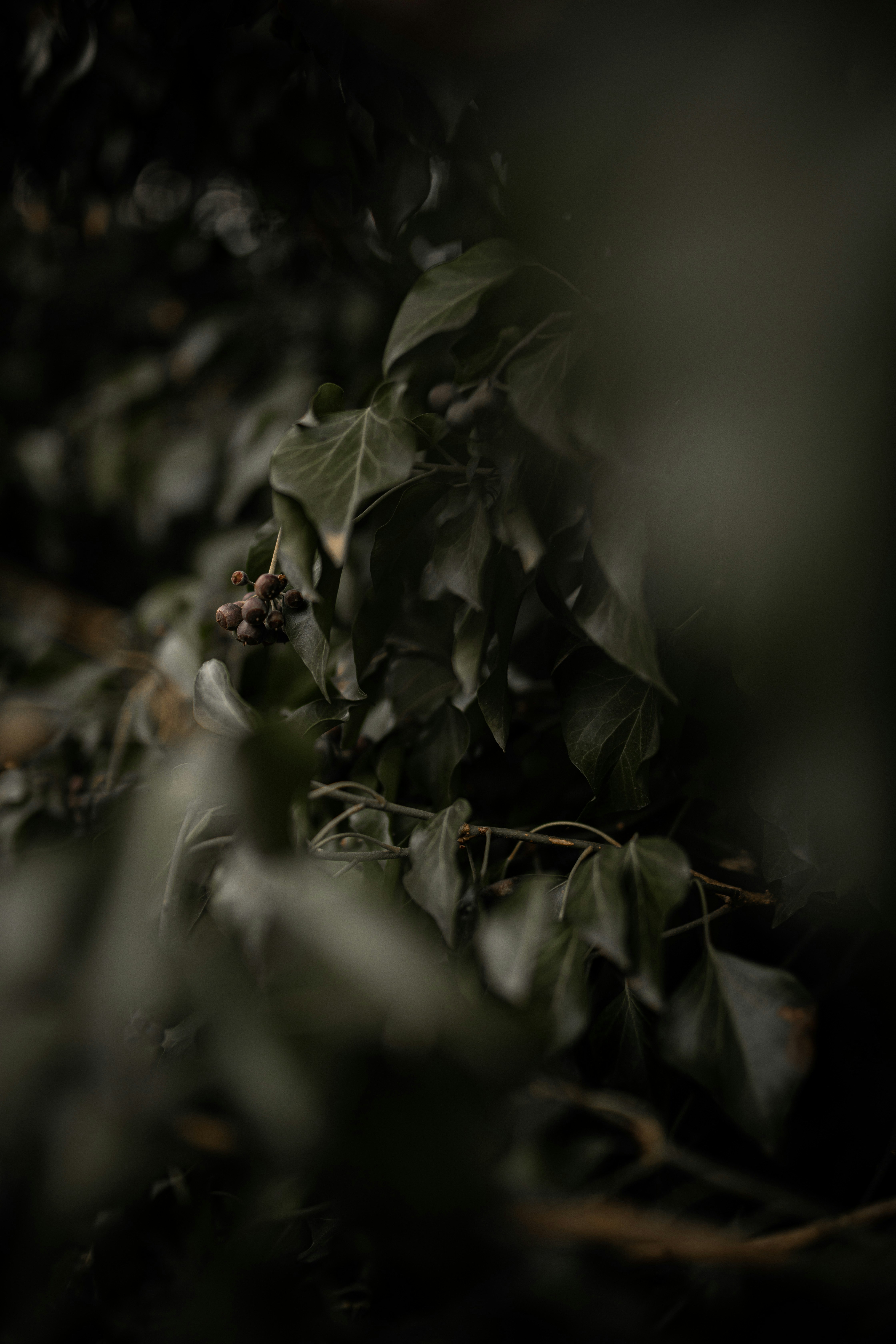 Photo by kajareichardtphotos