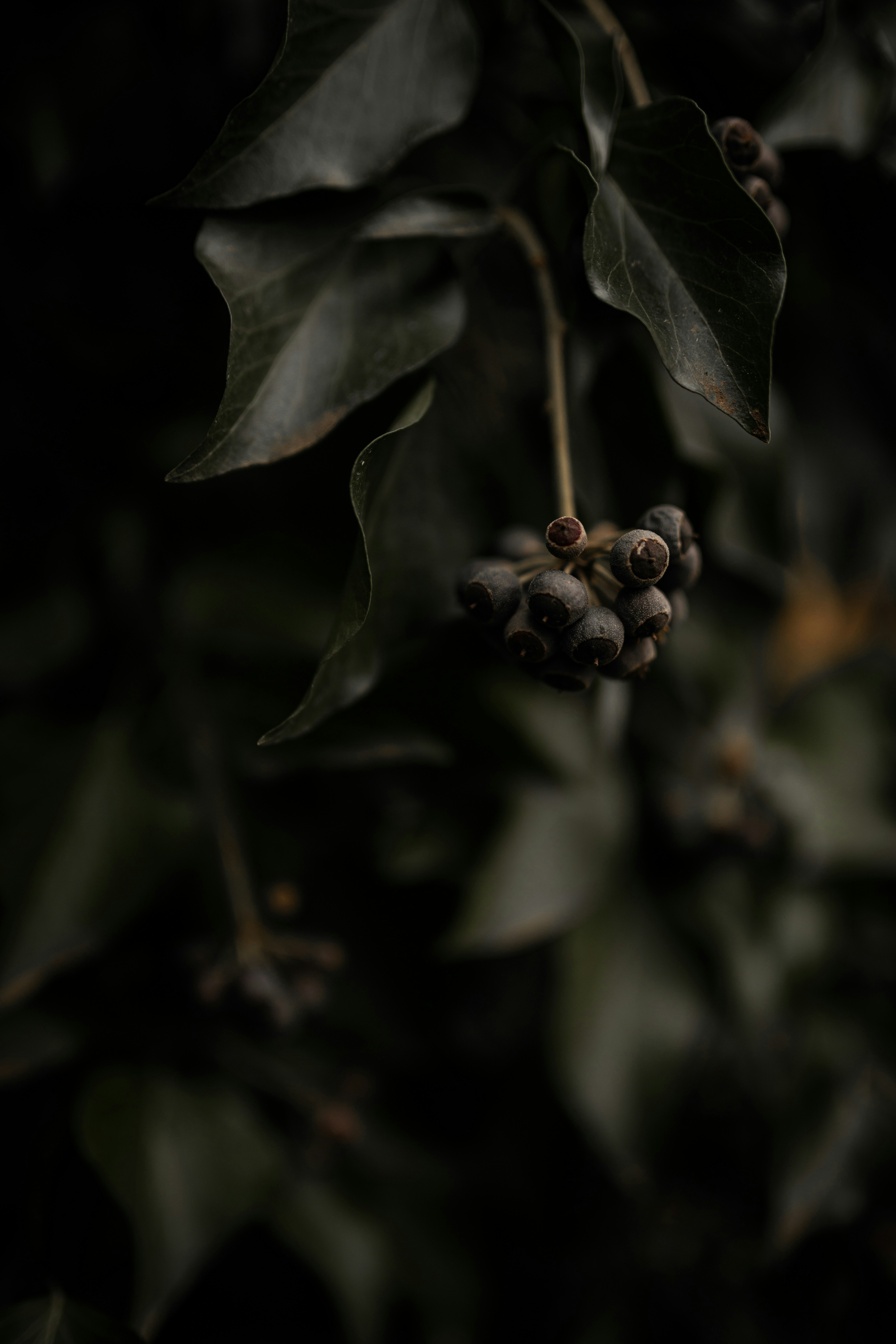 Photo by kajareichardtphotos