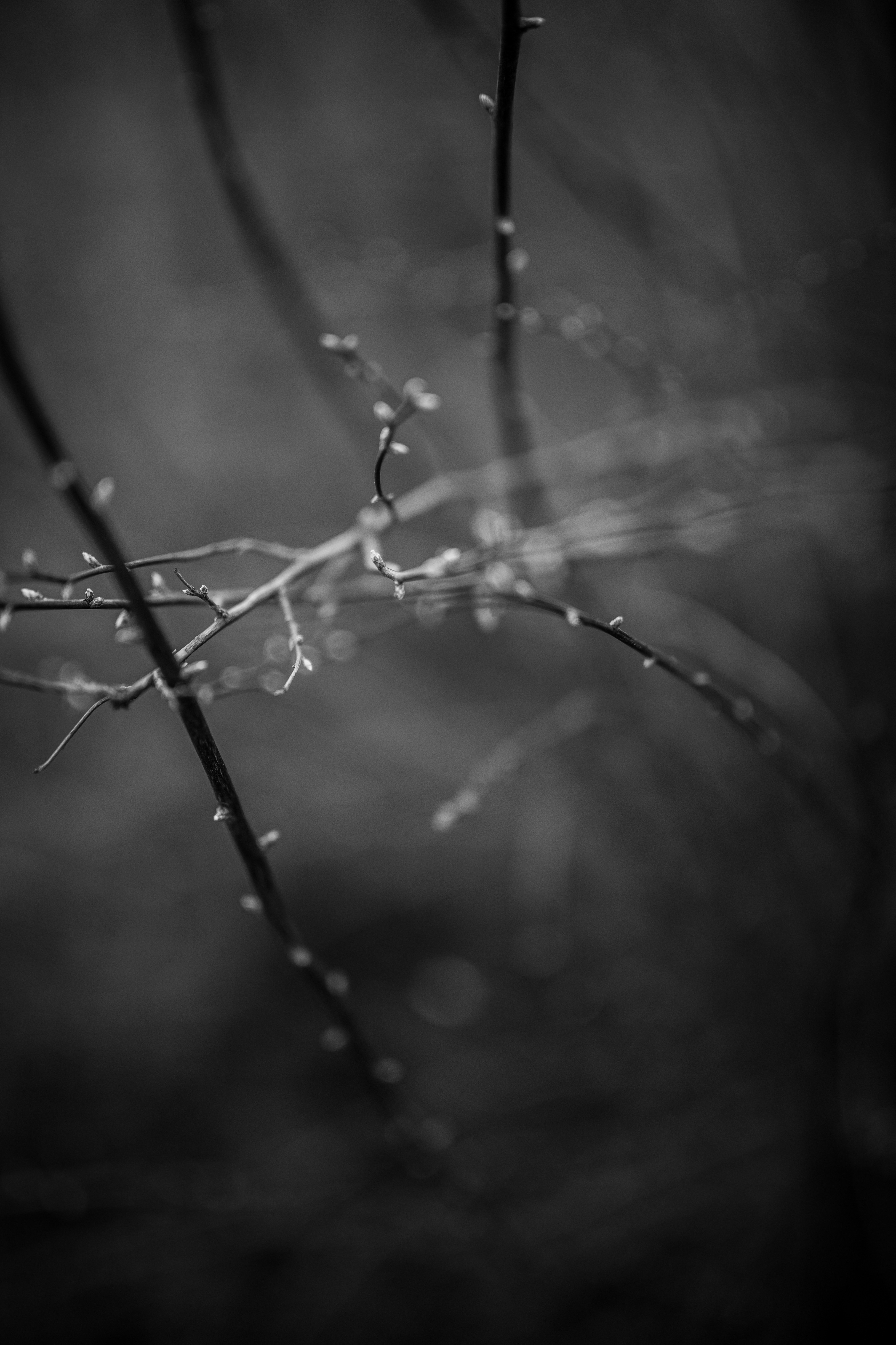 Photo by kajareichardtphotos