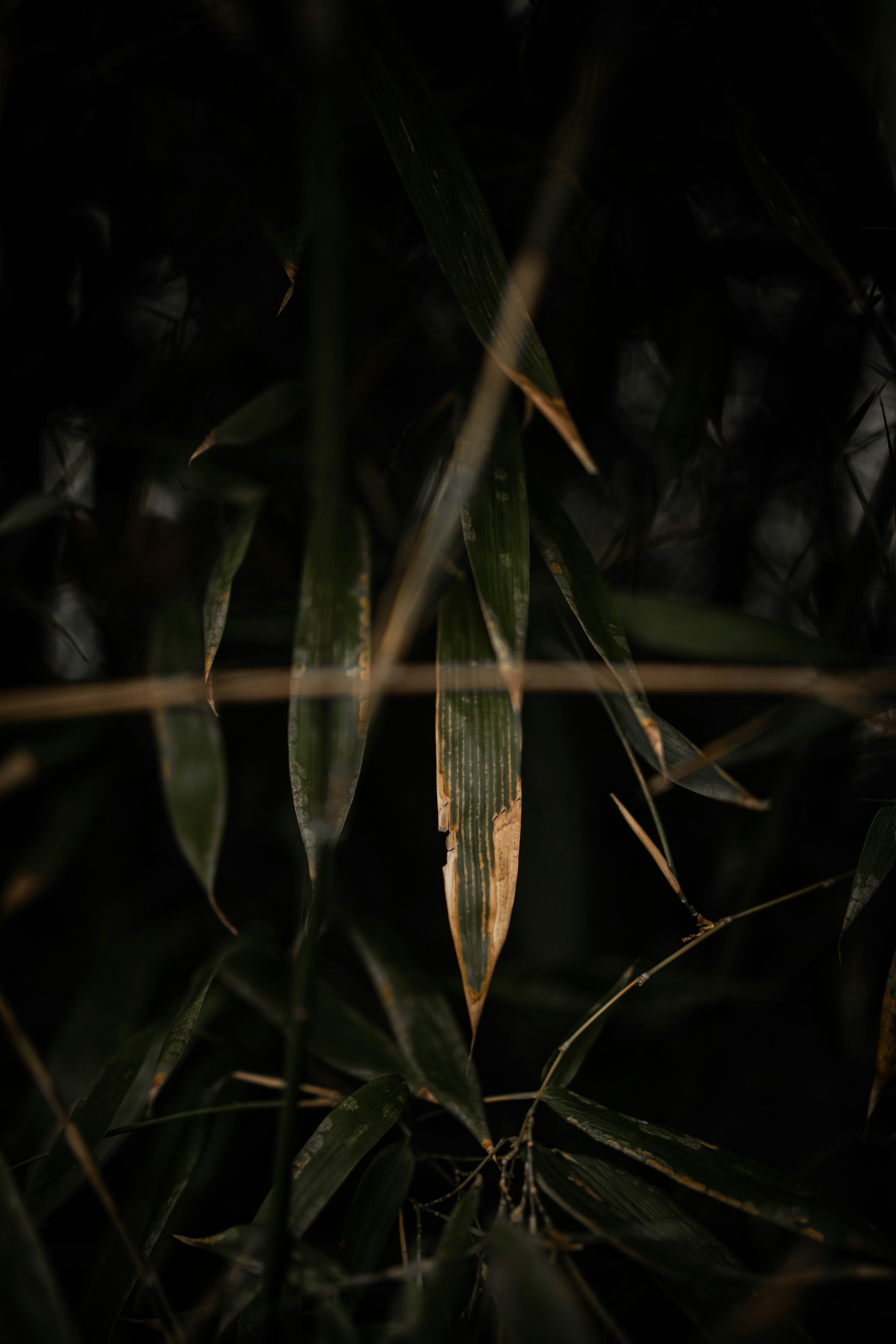 Photo by kajareichardtphotos