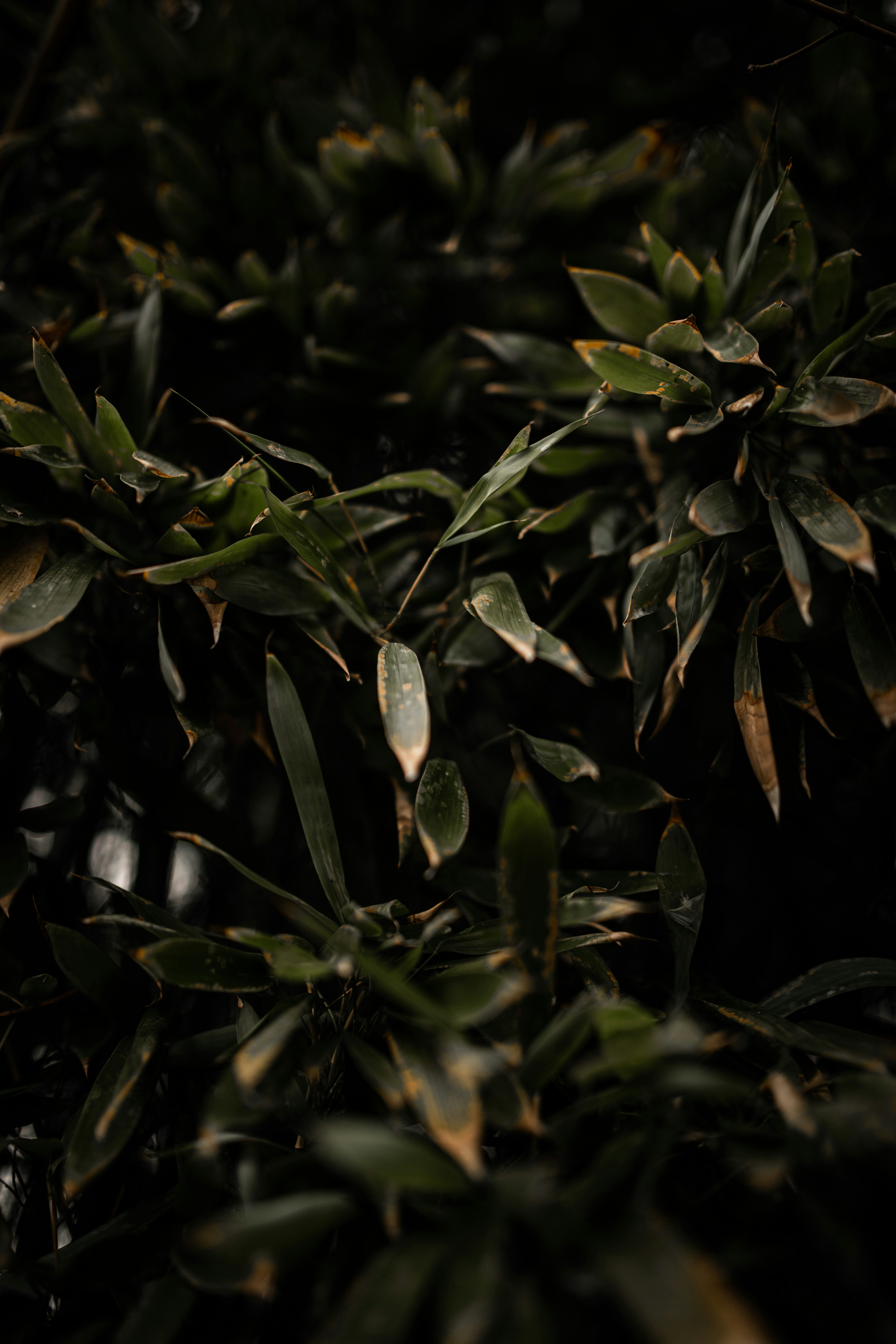 Photo by kajareichardtphotos