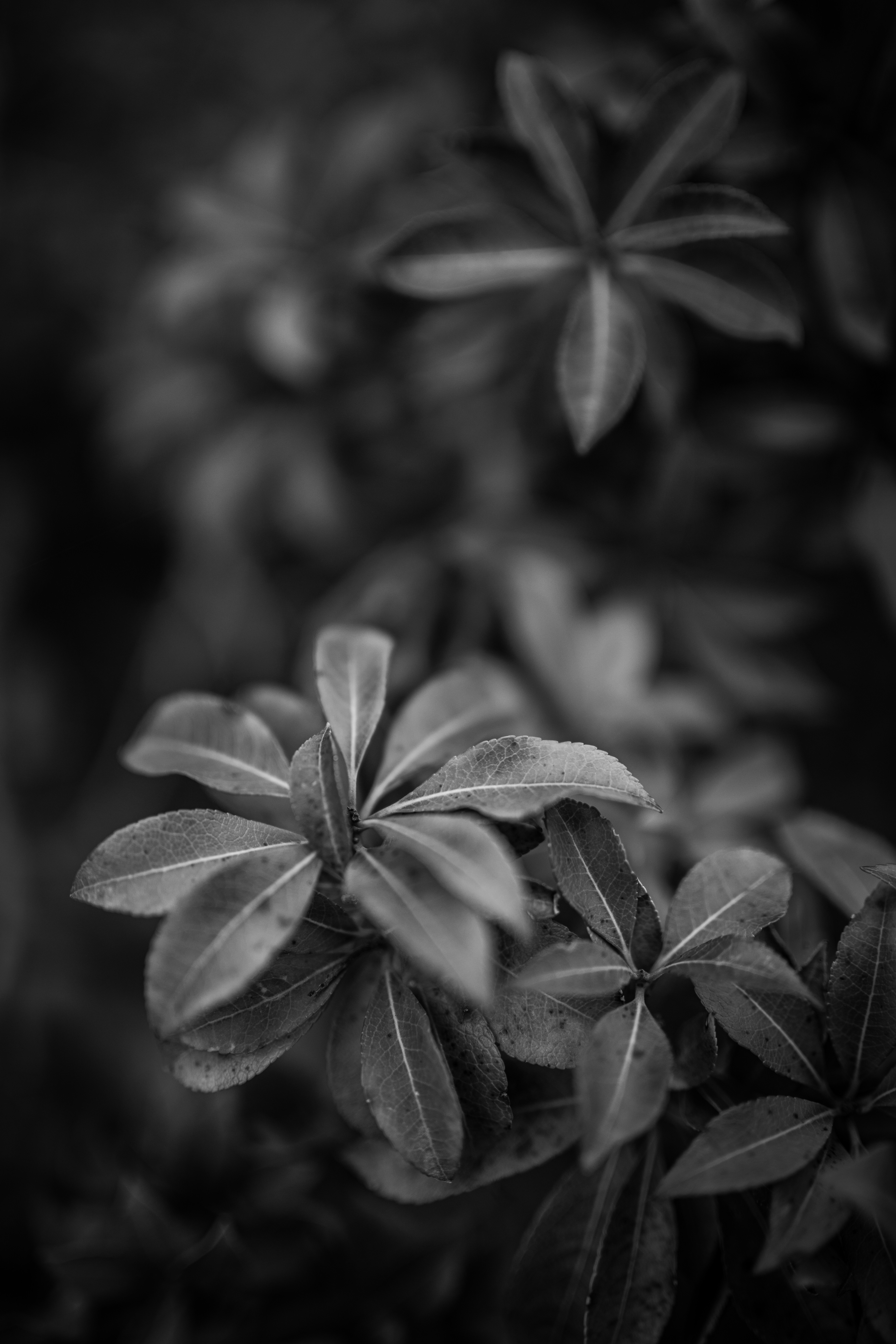 Photo by kajareichardtphotos