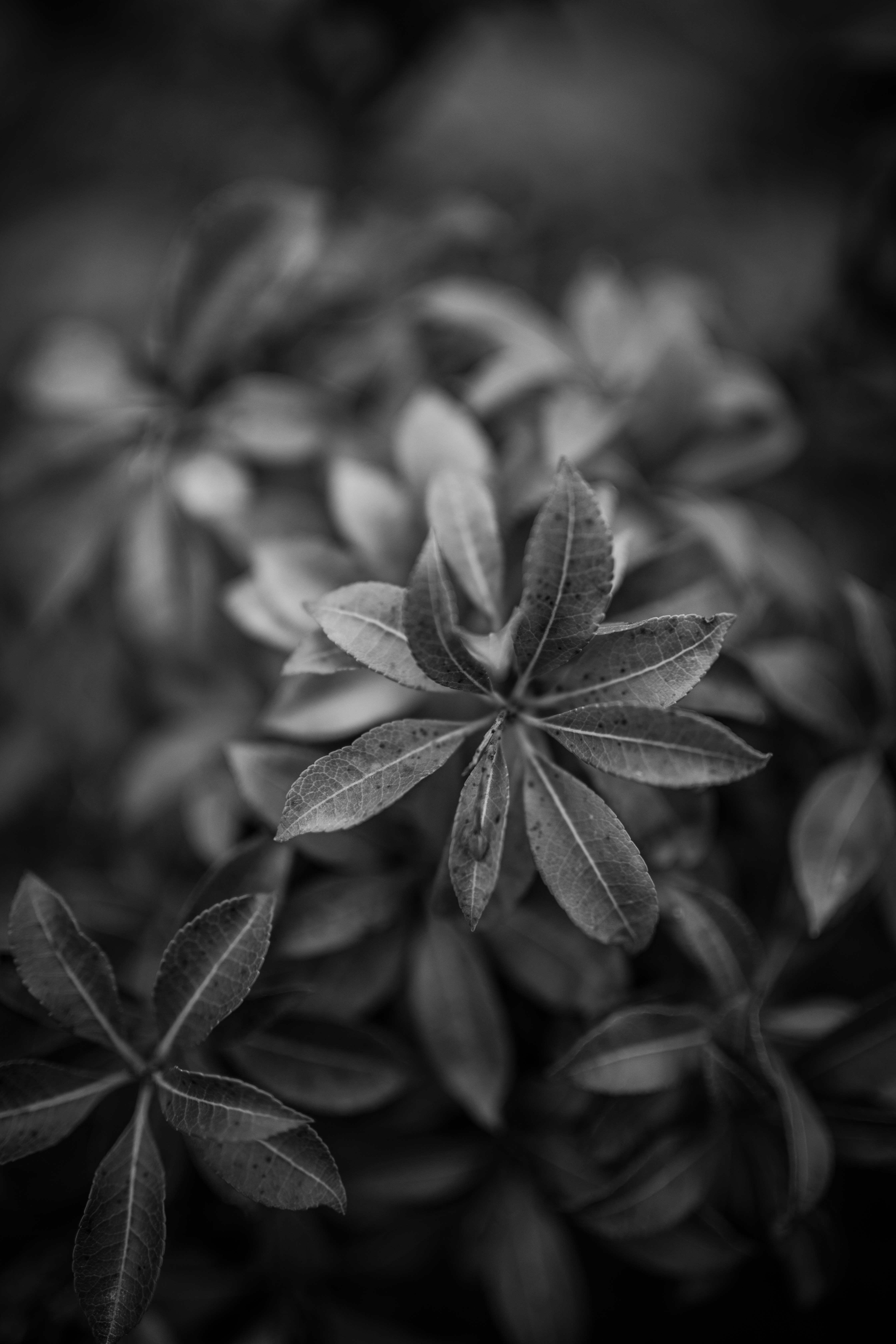 Photo by kajareichardtphotos