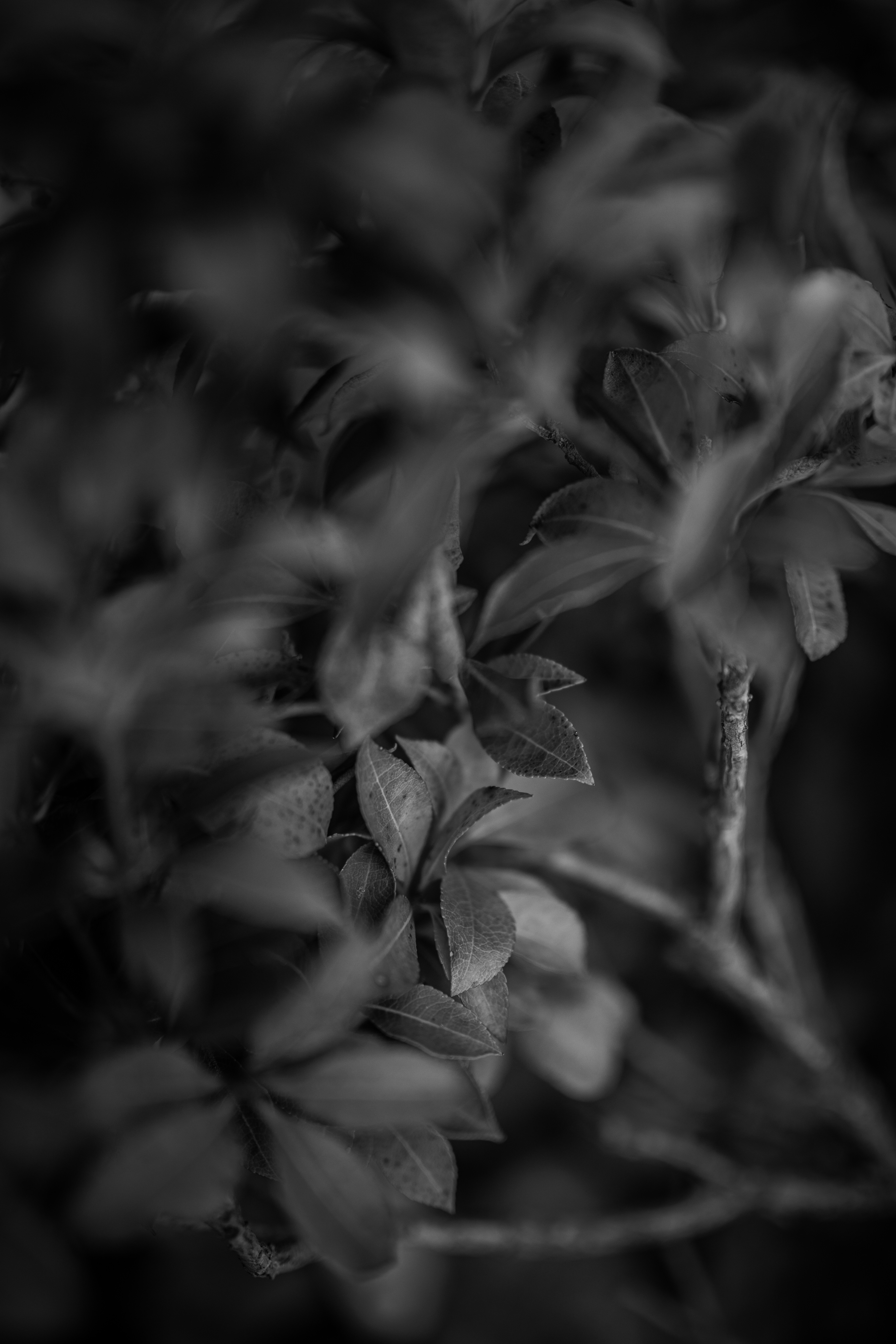 Photo by kajareichardtphotos