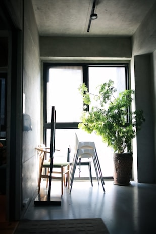 A modern room with soft natural light and a plant.