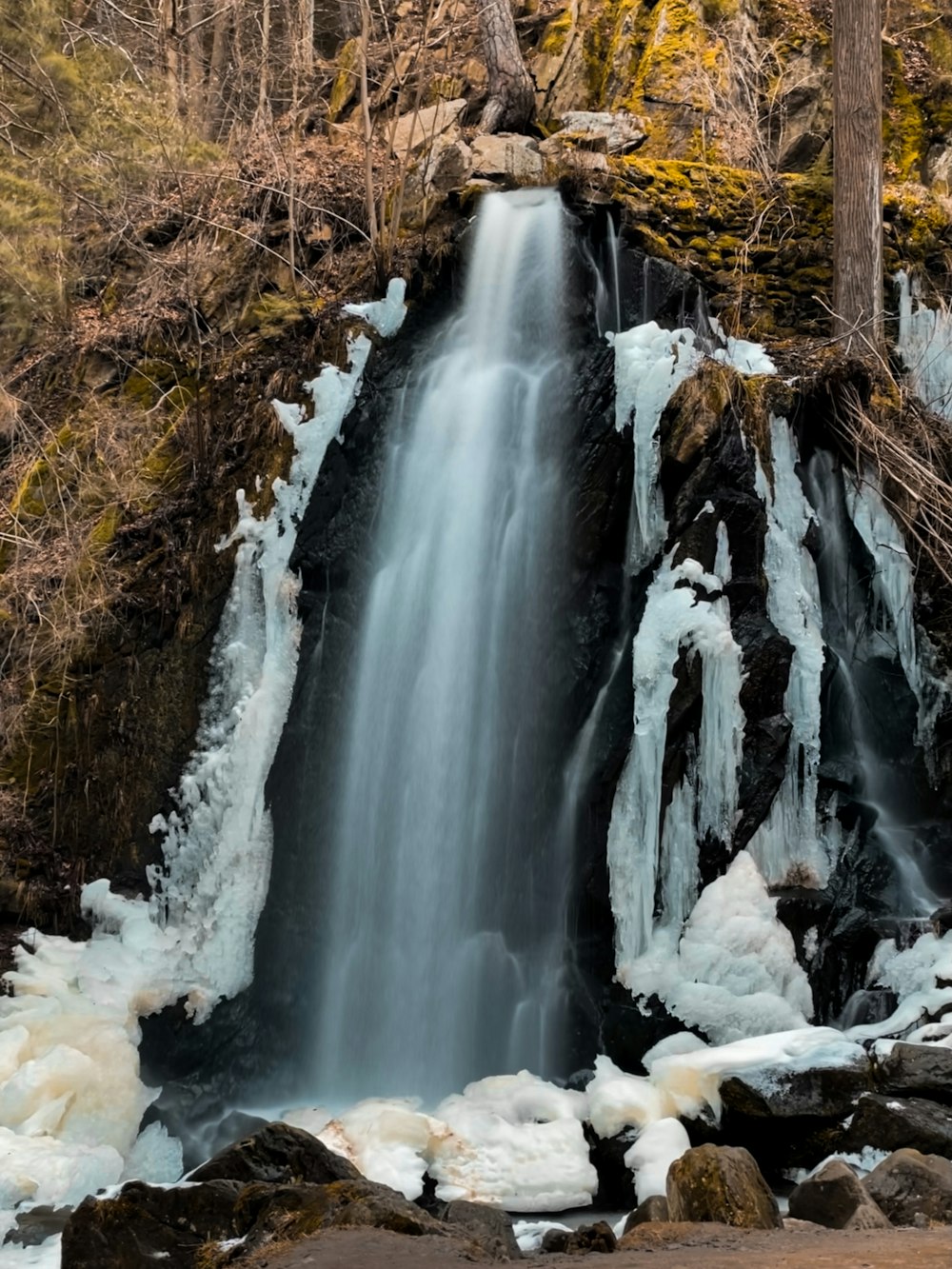 water falls in the woods