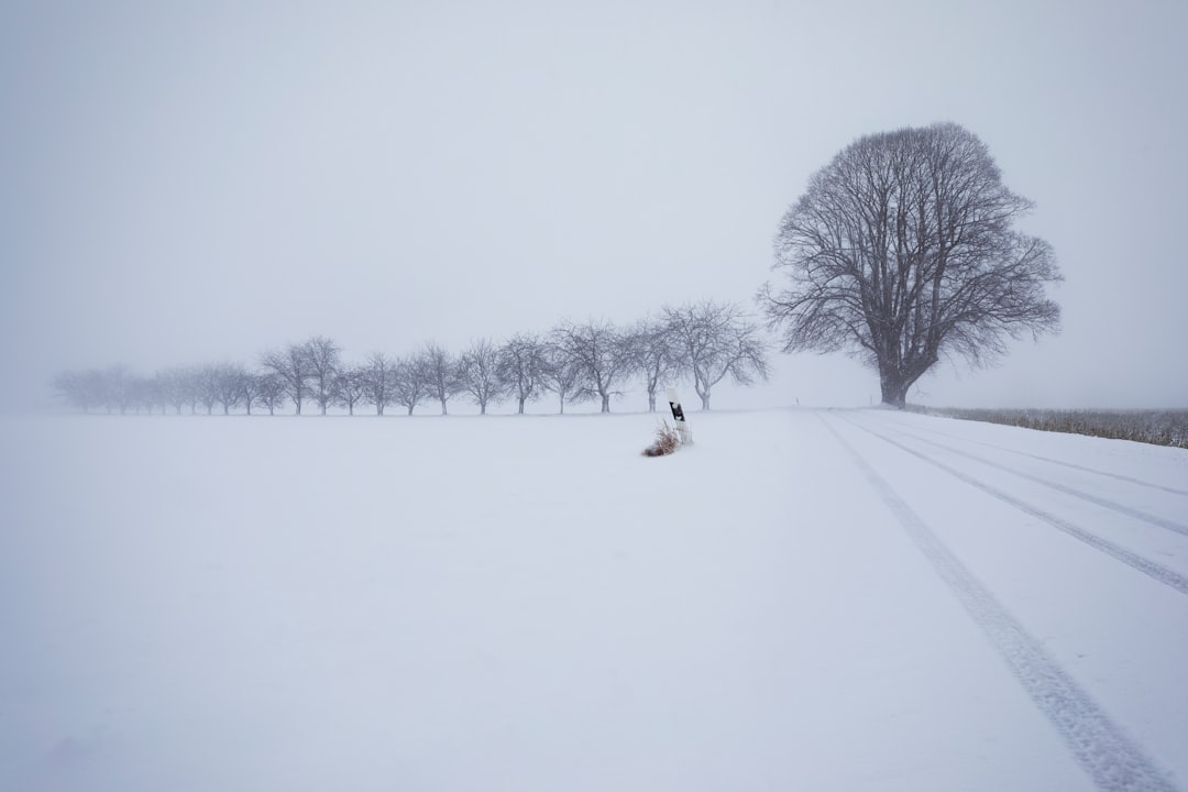 person in white coat walking on snow covered ground during daytime