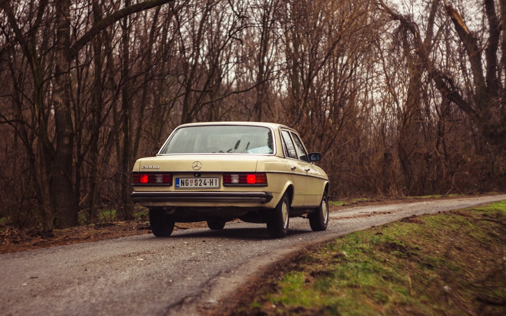 white sedan parked on dirt road near bare trees during daytime