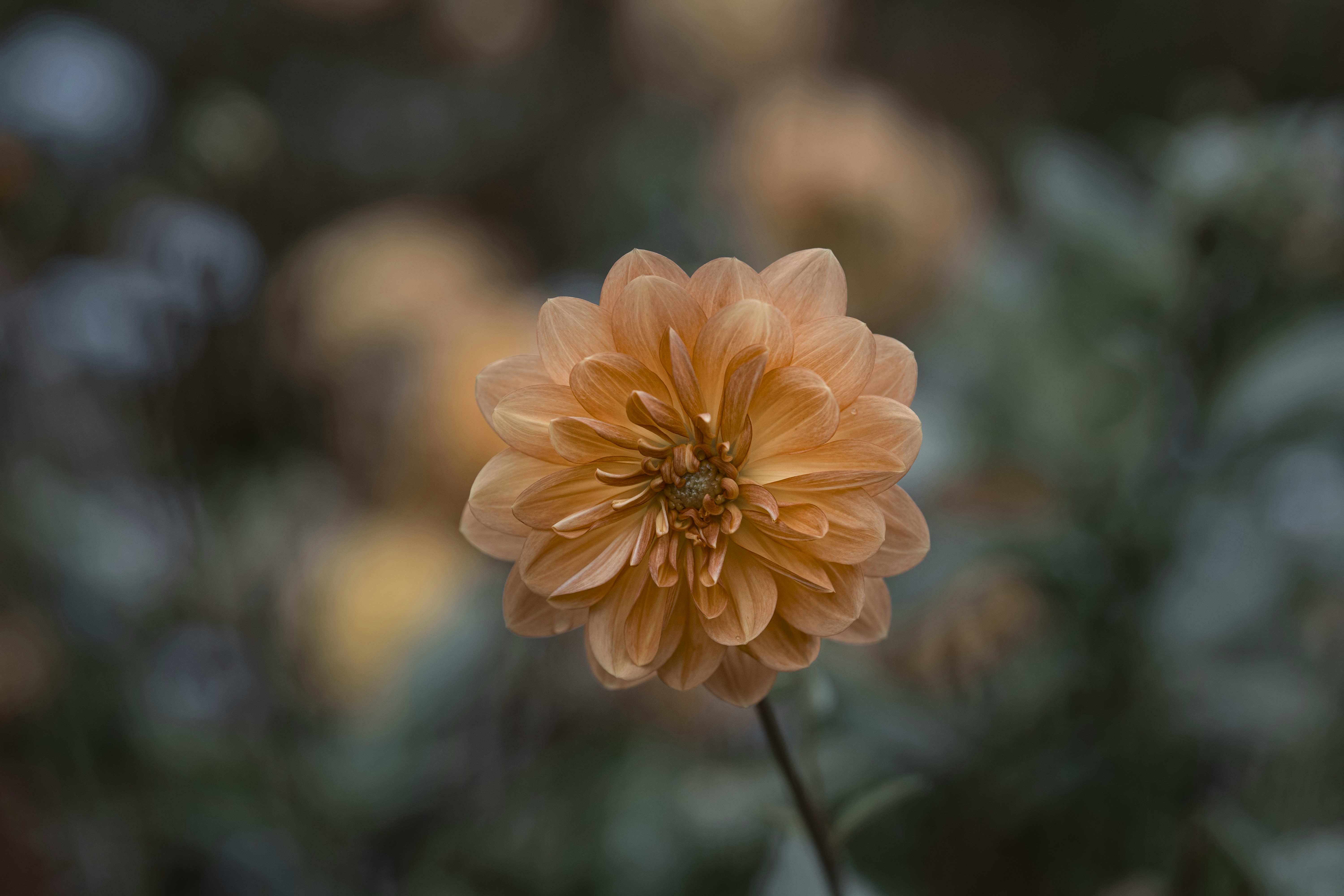 Photo by omarvellous14