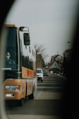 School bus driving along a tree-lined suburban street.