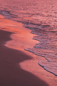 aerial view of beach during daytime