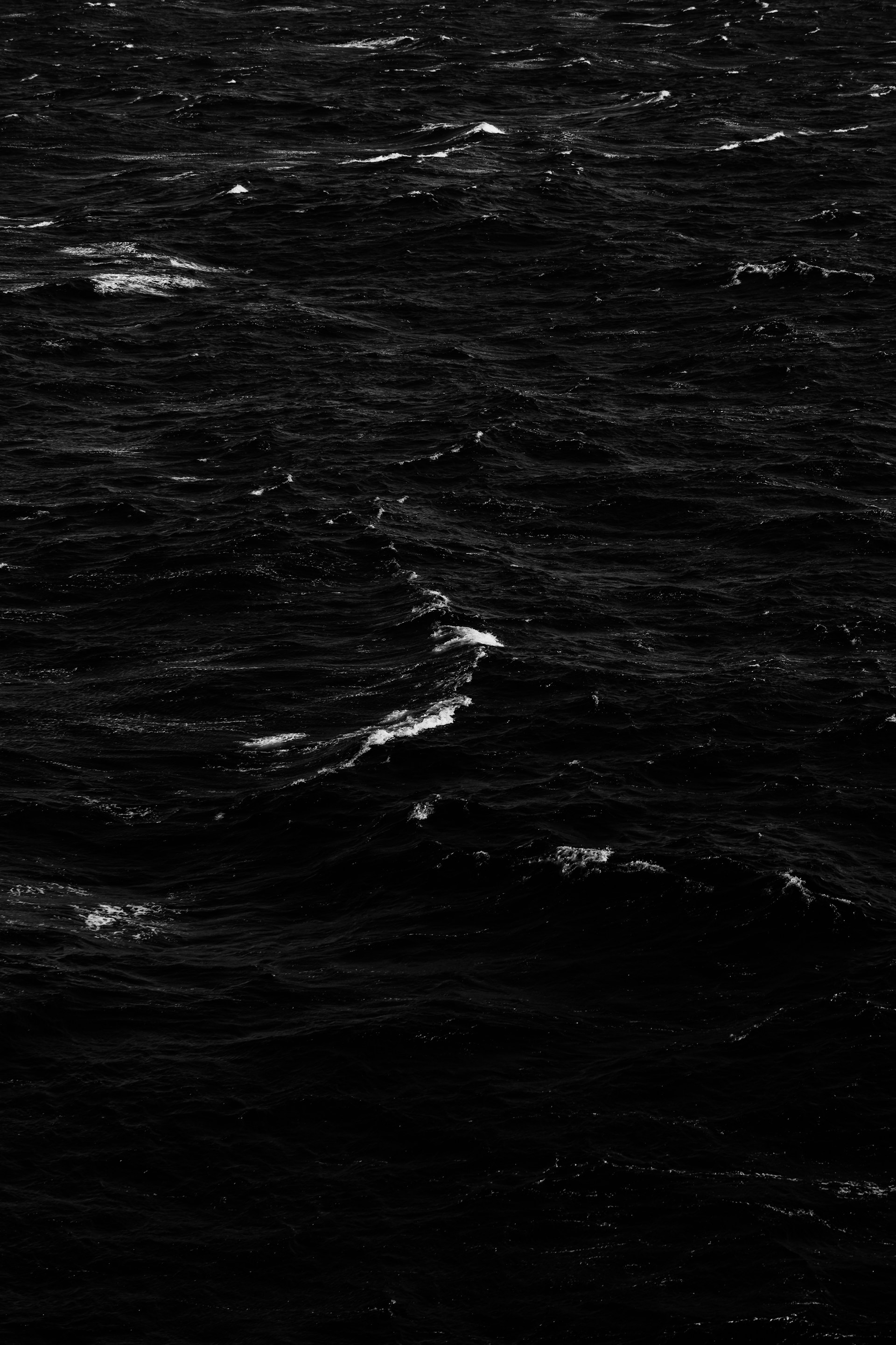 body of water during daytime