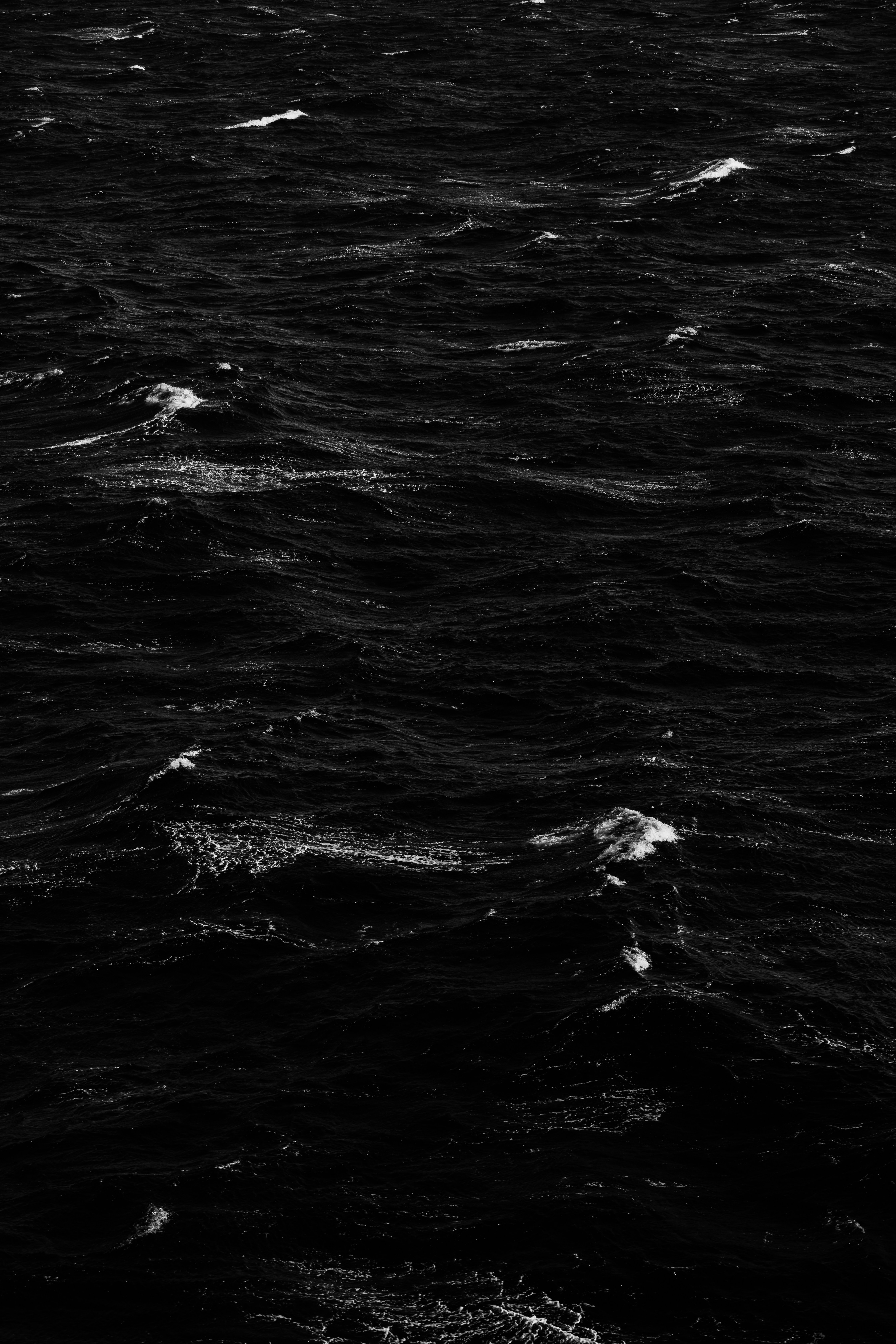 grayscale photo of body of water