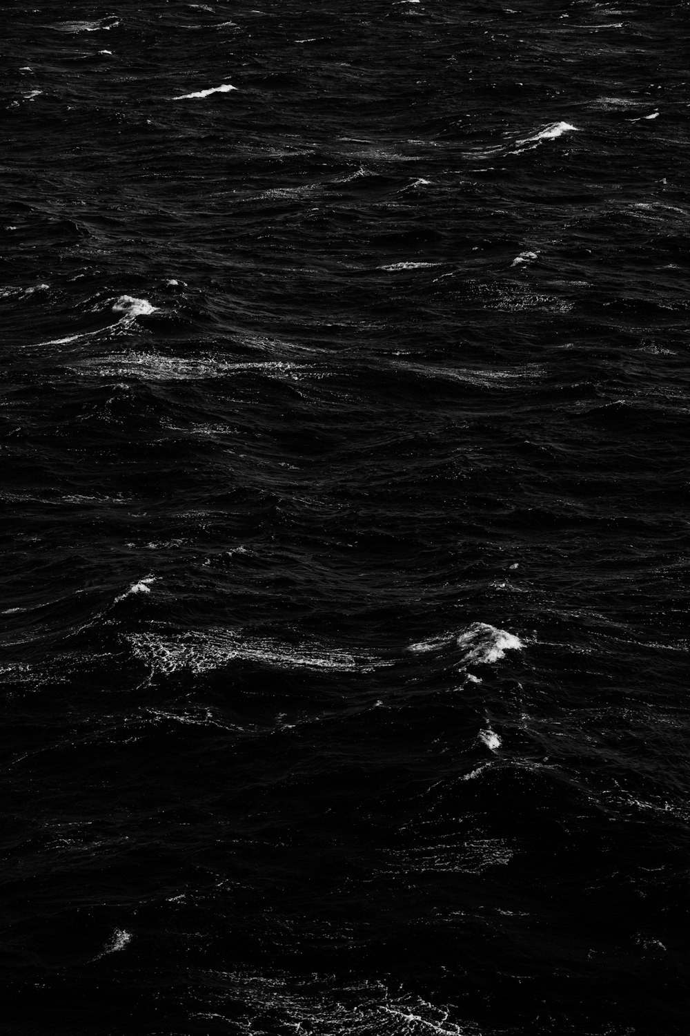 grayscale photo of body of water