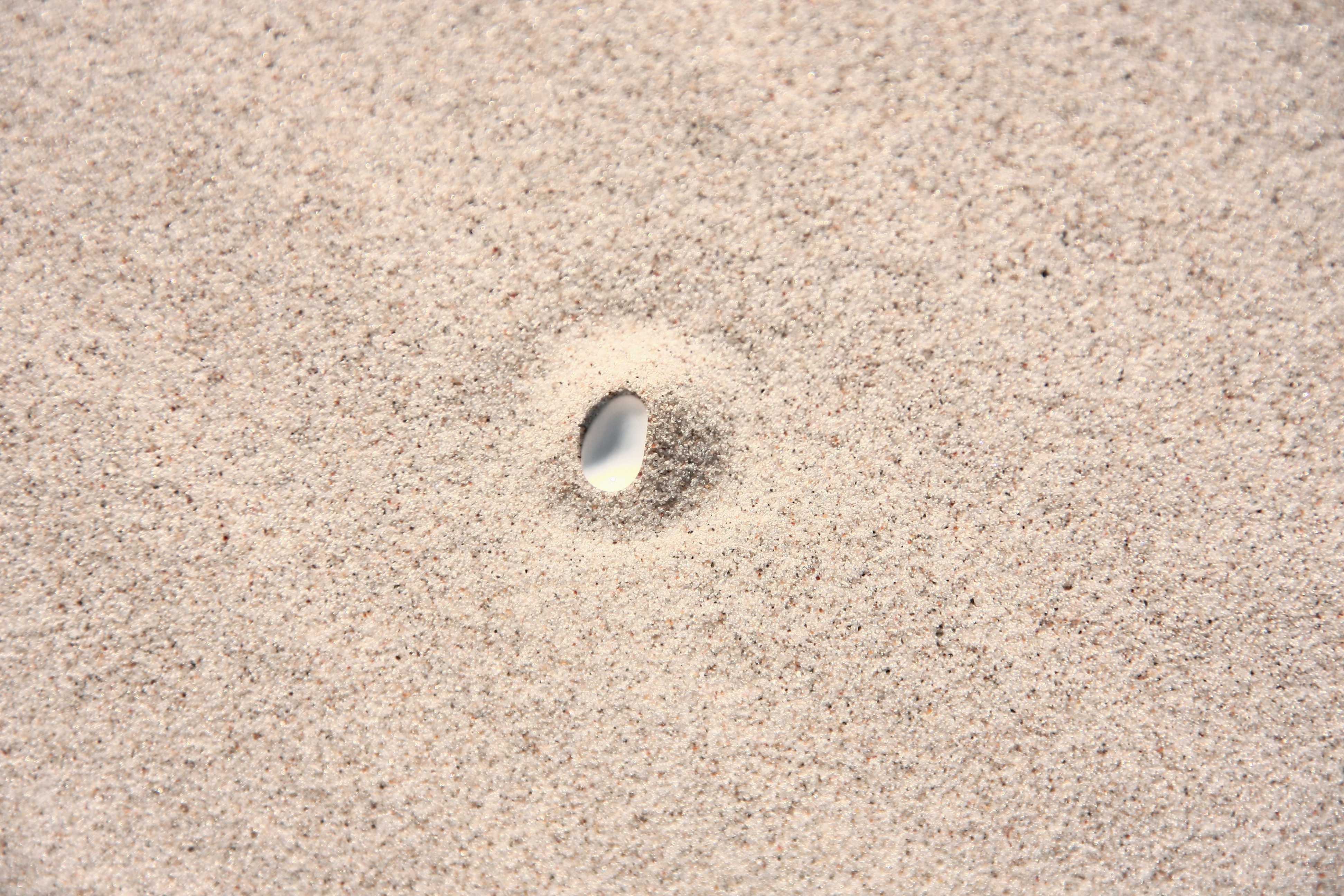 white round ornament on black textile