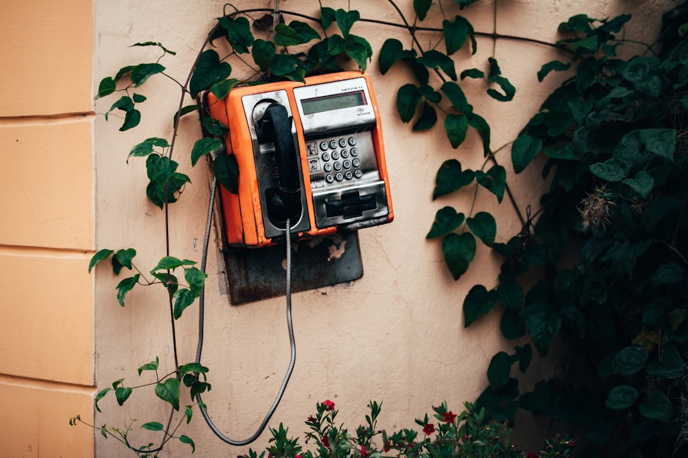 red and black telephone on brown wall