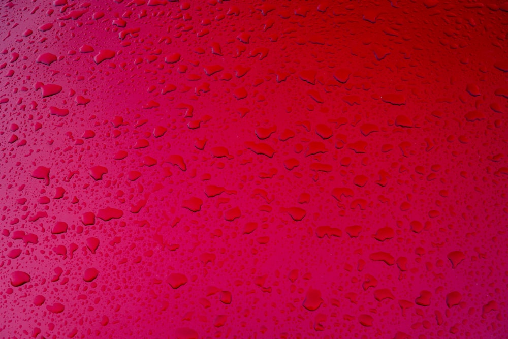 Pintura abstracta rosa y blanca