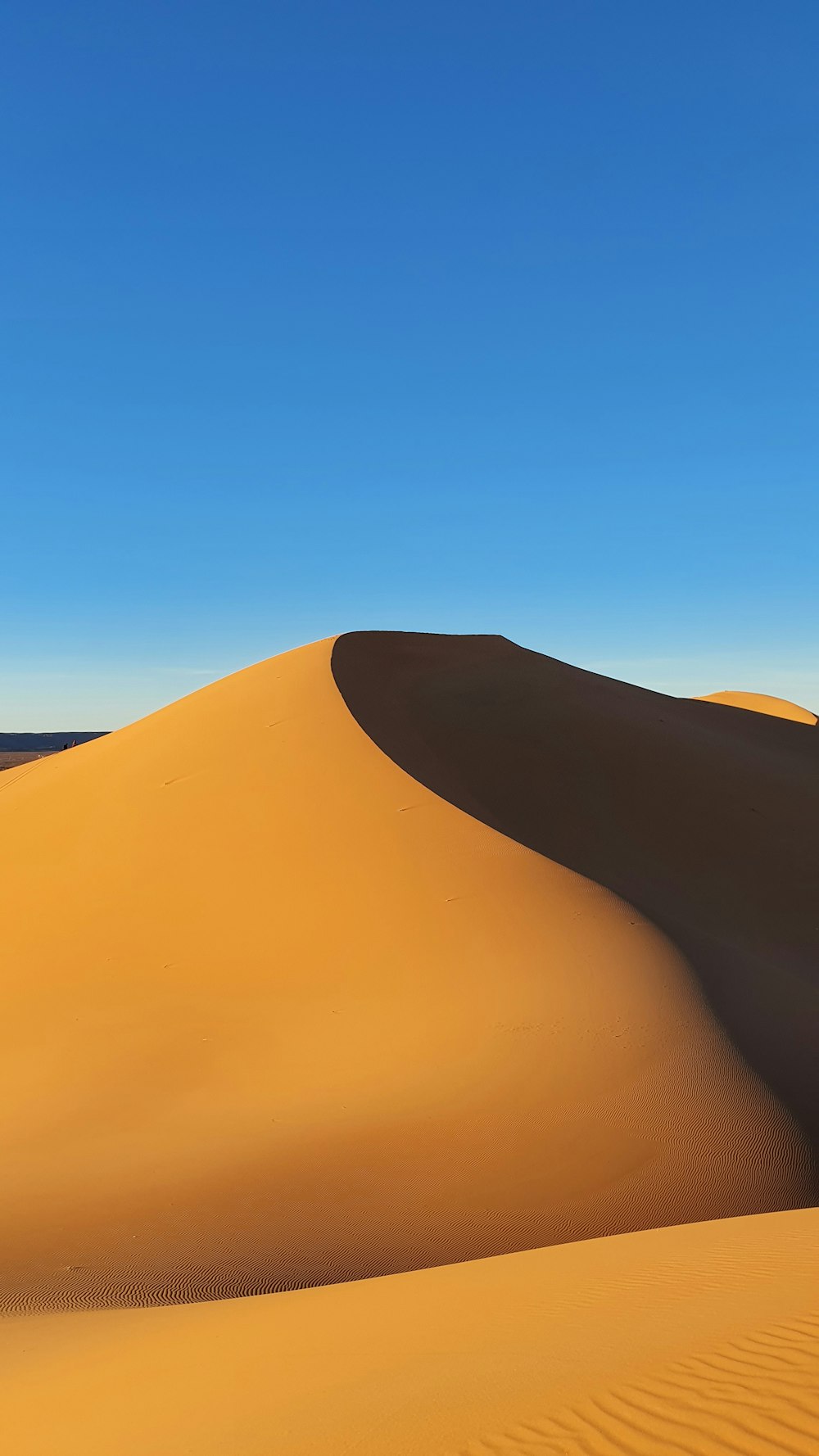 person in black pants standing on brown sand during daytime