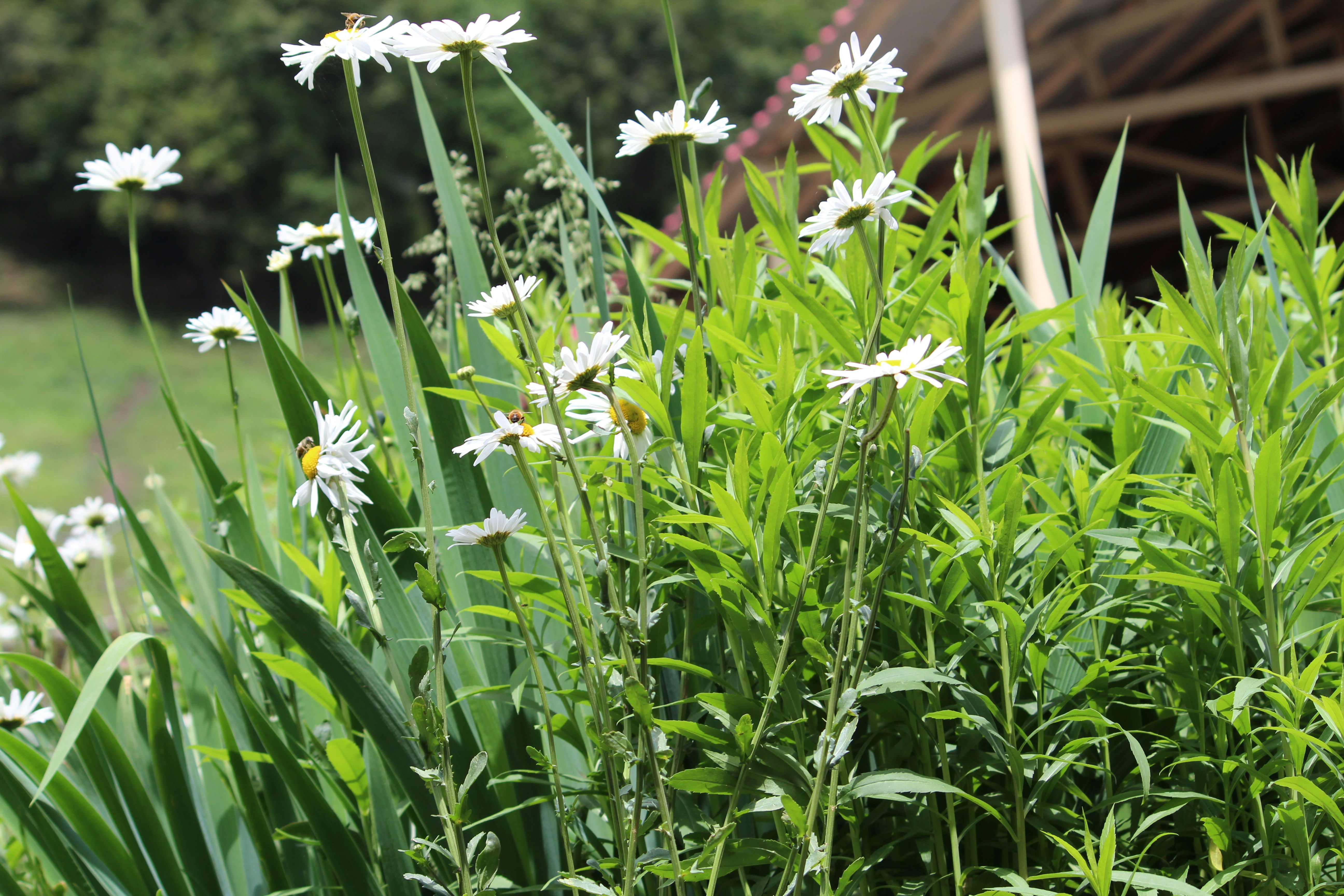 Photo by kritikathakursachdeva