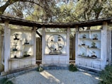 A serene wooden display structure showcases multiple bonsai trees in small pots. The arrangement is set against a backdrop of wooden fencing and surrounded by trees, conveying a tranquil, natural environment.