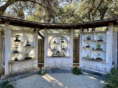 A serene wooden display structure showcases multiple bonsai trees in small pots. The arrangement is set against a backdrop of wooden fencing and surrounded by trees, conveying a tranquil, natural environment.