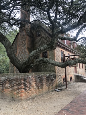 A historic brick building with a prominent chimney is partially obscured by a large tree with sprawling branches. The brickwork features intricate patterns, and the building's windows are framed with a warm wood. The setting is serene, with a mix of natural and architectural elements.