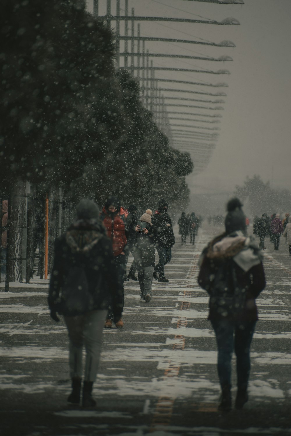 pessoas andando na faixa de pedestres durante o dia